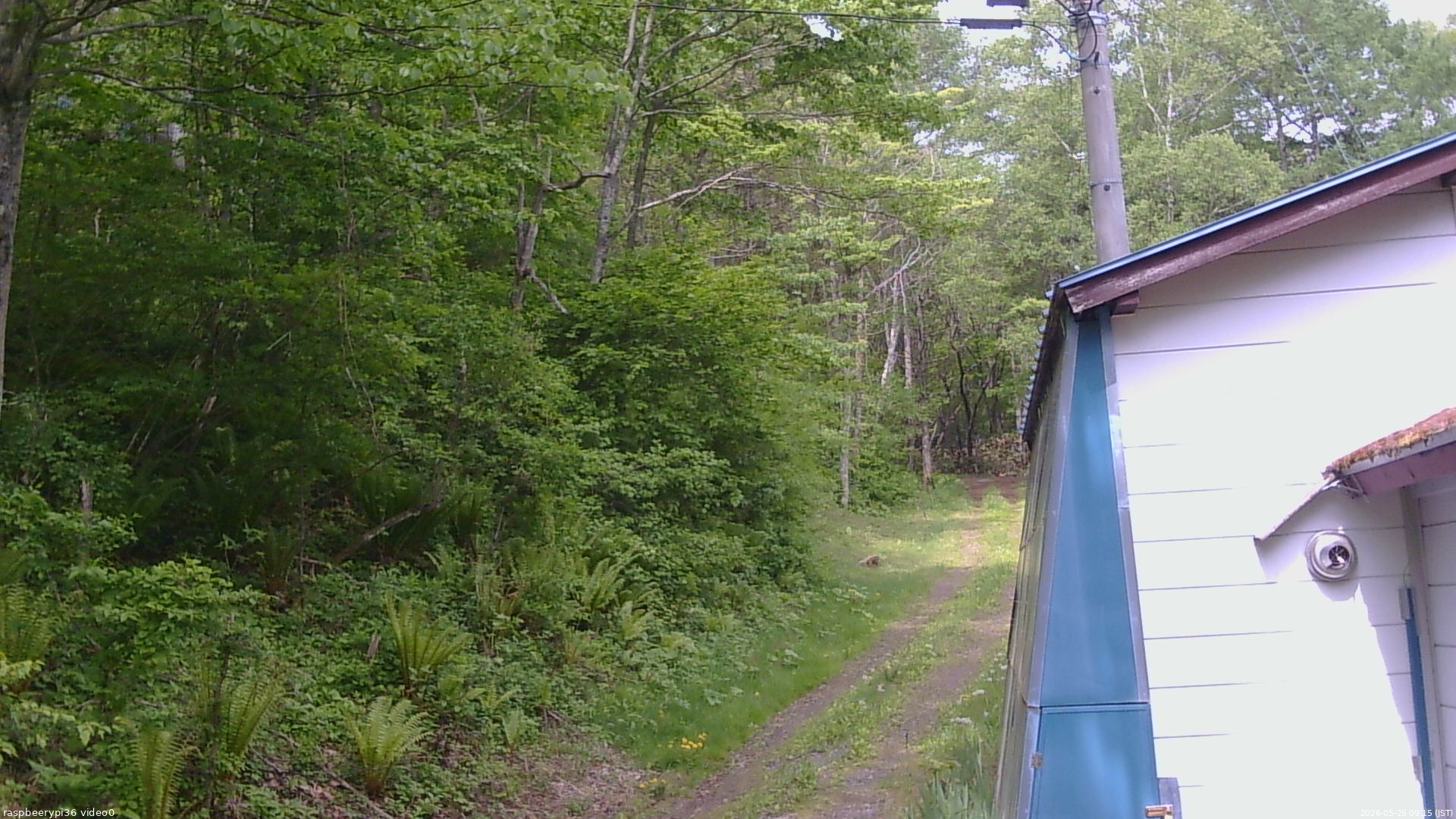 長野県菅平高原 ゆたか山荘 ゆたか山荘 2026/05/26 09:15