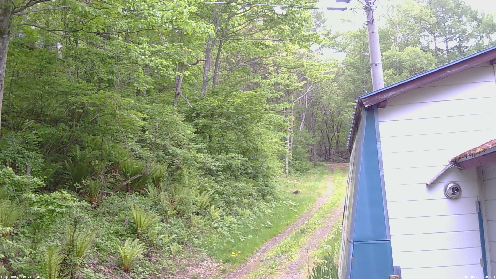 長野県菅平高原 ゆたか山荘 ゆたか山荘 2026/05/26 13:00