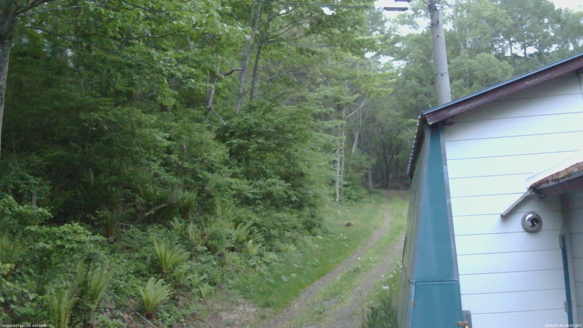 長野県菅平高原 ゆたか山荘 ゆたか山荘 2026/05/26 19:00