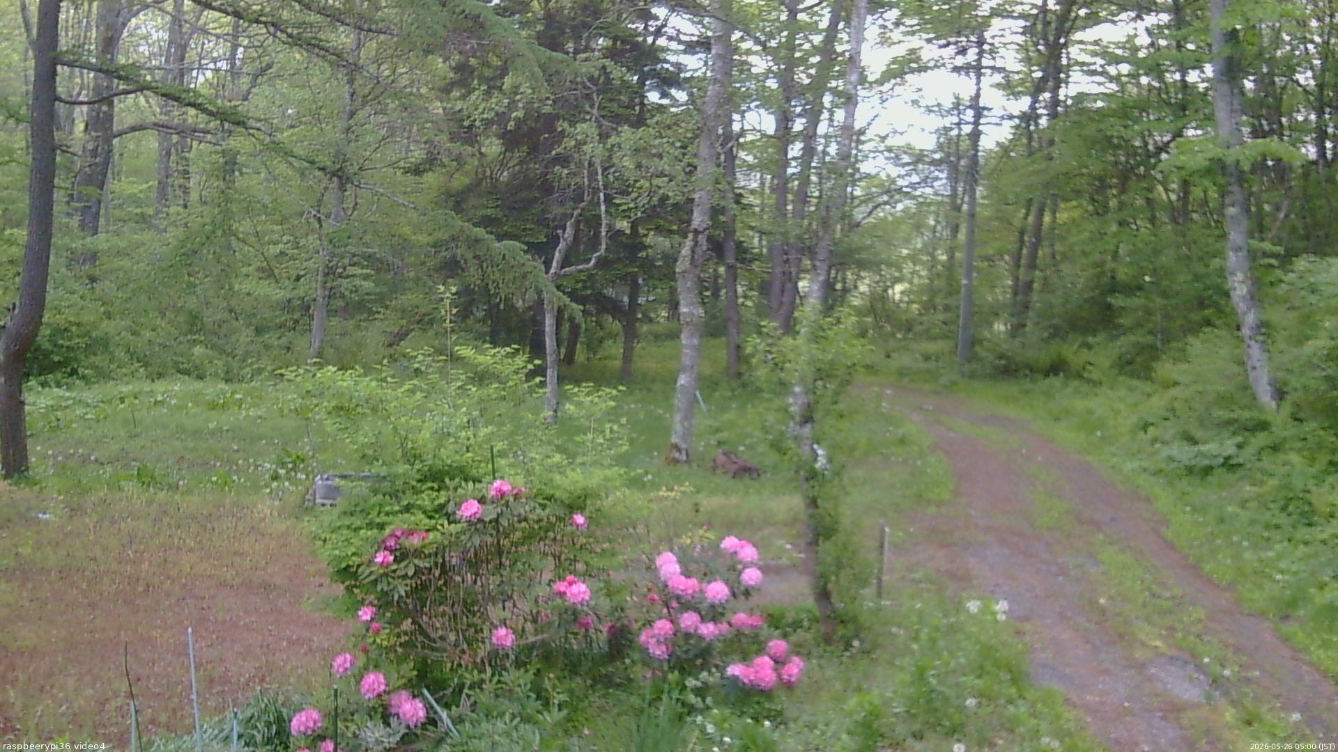長野県菅平高原 ゆたか山荘 坂上 2026/05/26 05:00