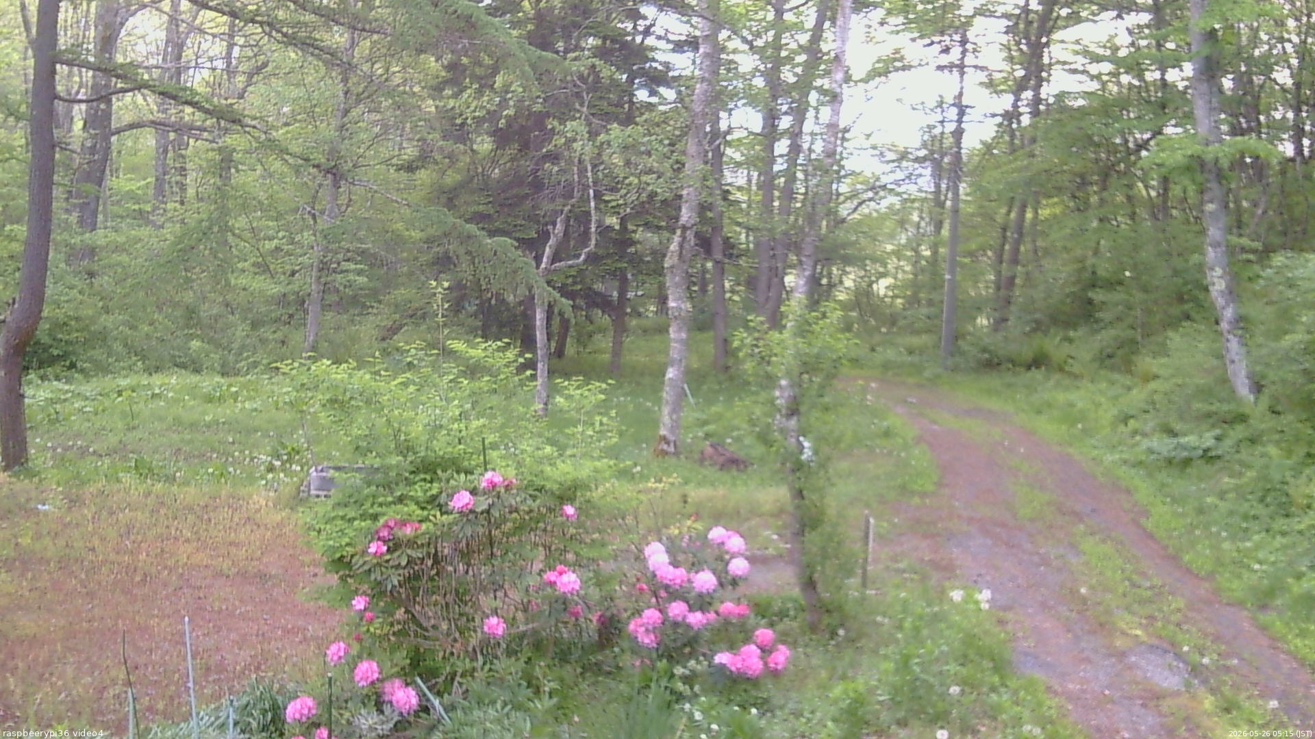 長野県菅平高原 ゆたか山荘 坂上 2026/05/26 05:15