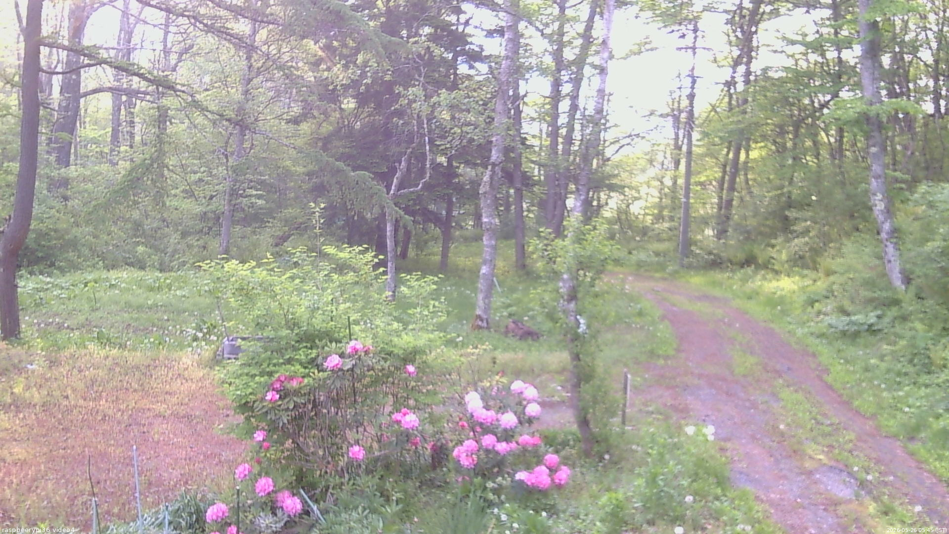 長野県菅平高原 ゆたか山荘 坂上 2026/05/26 05:45