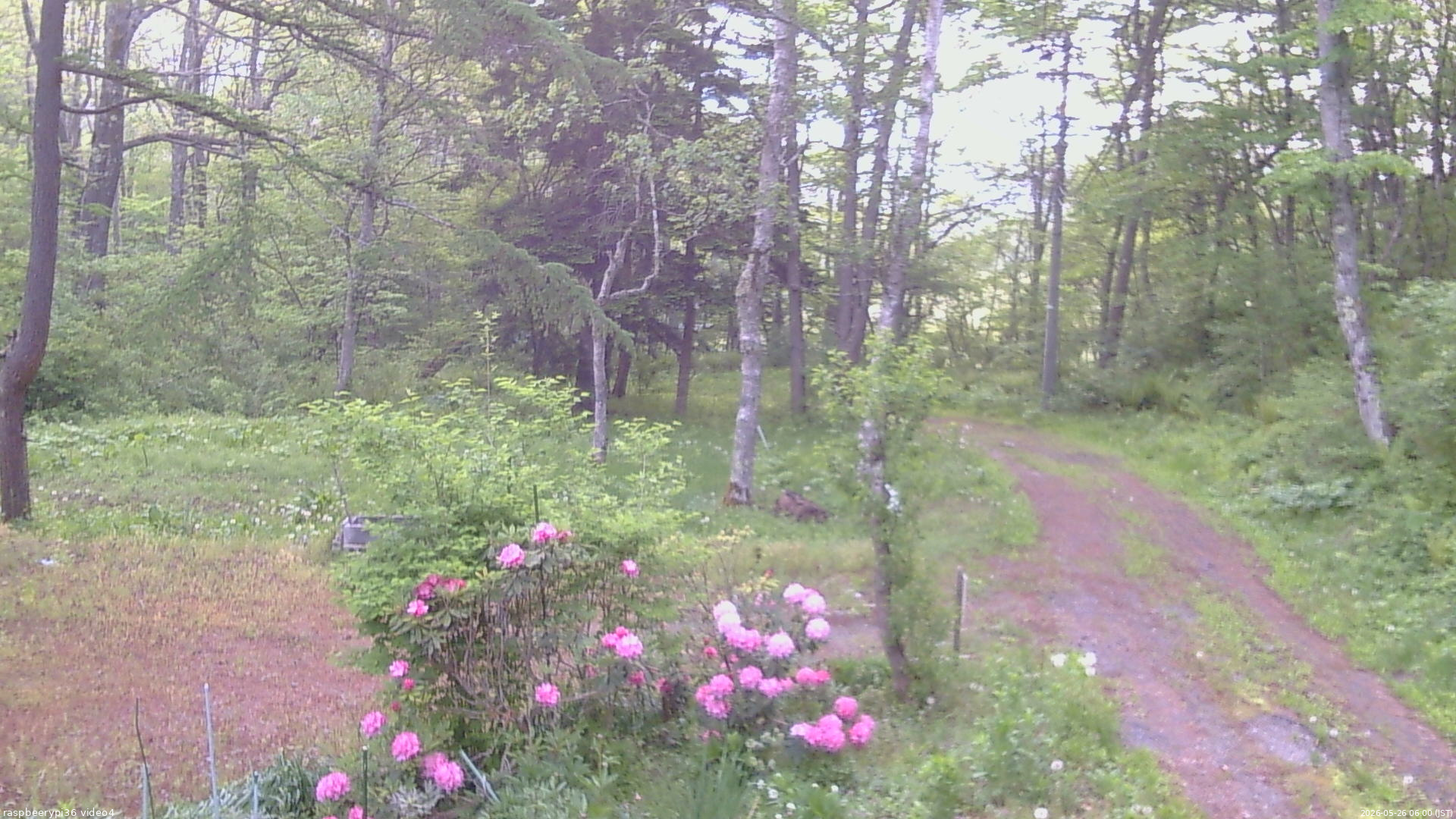 長野県菅平高原 ゆたか山荘 坂上 2026/05/26 06:00