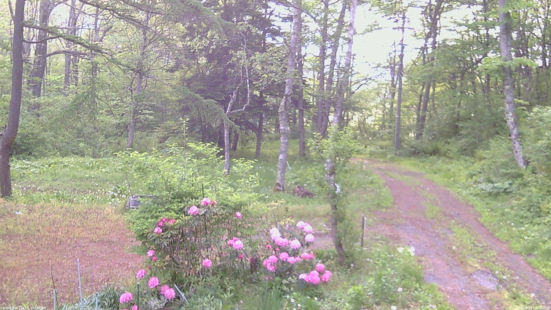 長野県菅平高原 ゆたか山荘 坂上 2026/05/26 06:15