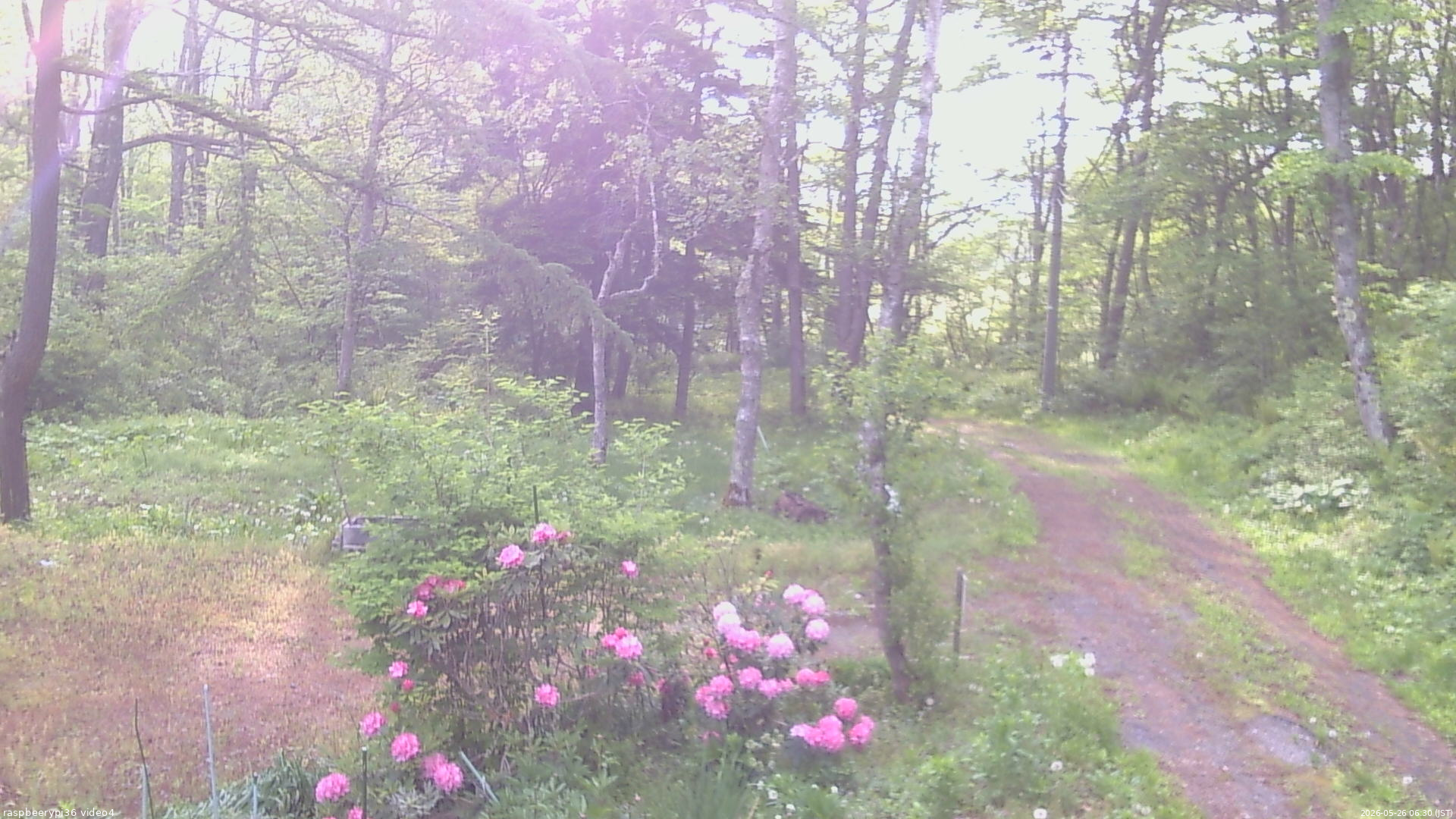長野県菅平高原 ゆたか山荘 坂上 2026/05/26 06:30
