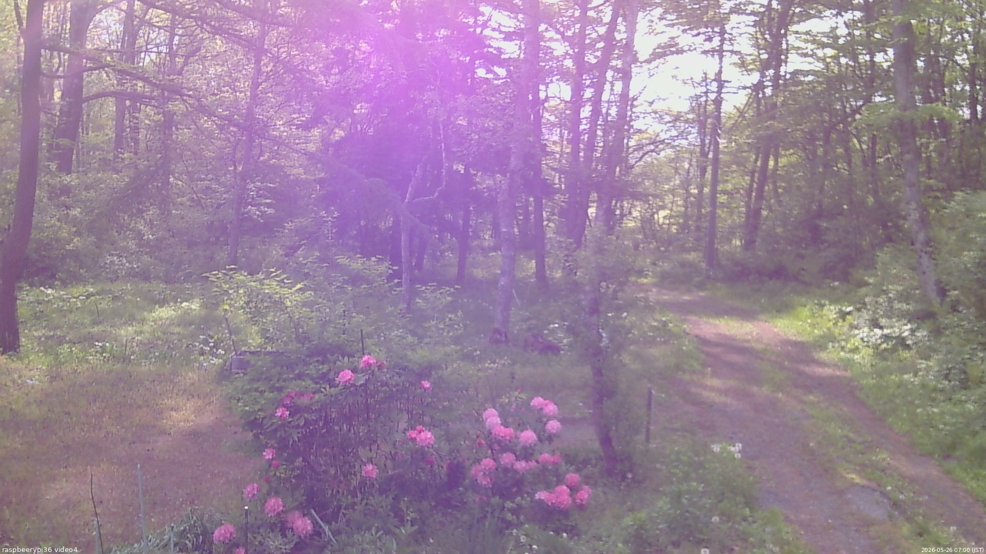 長野県菅平高原 ゆたか山荘 坂上 2026/05/26 07:00