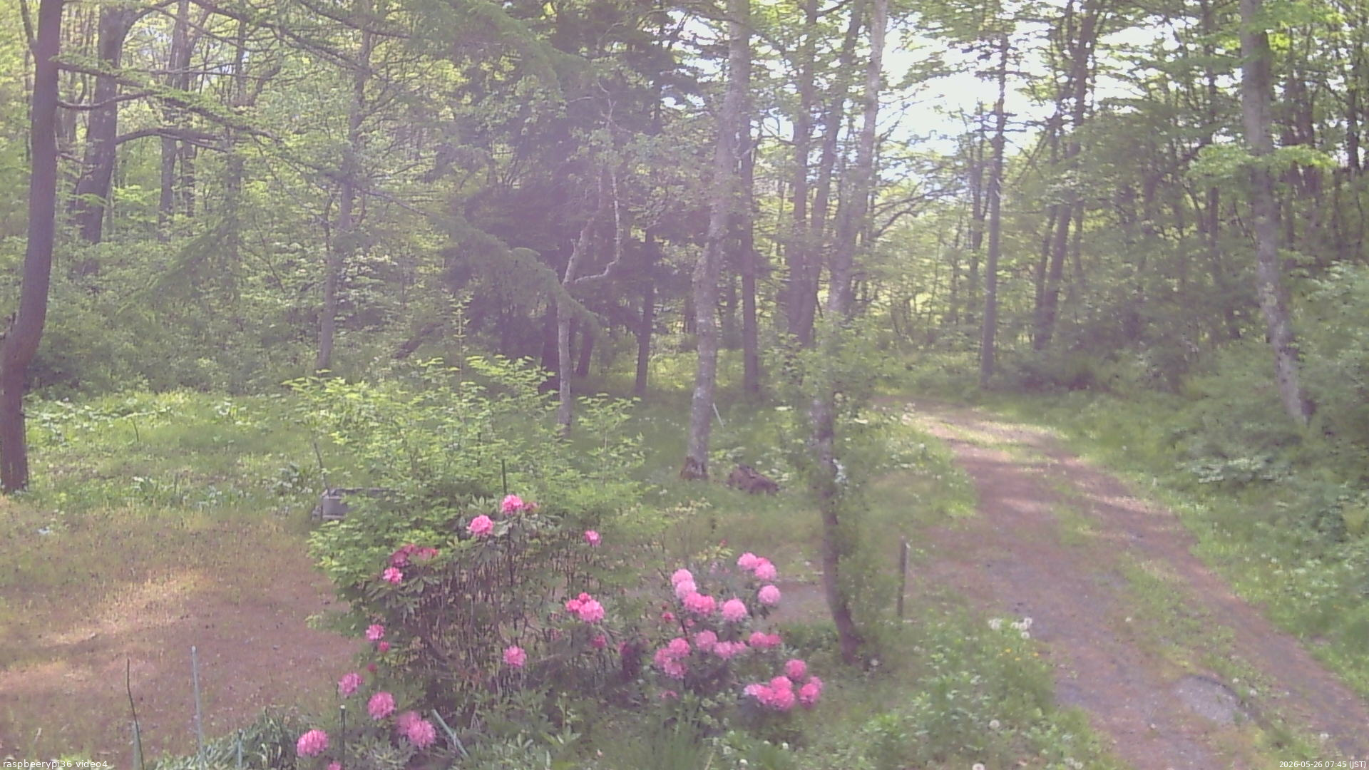 長野県菅平高原 ゆたか山荘 坂上 2026/05/26 07:45