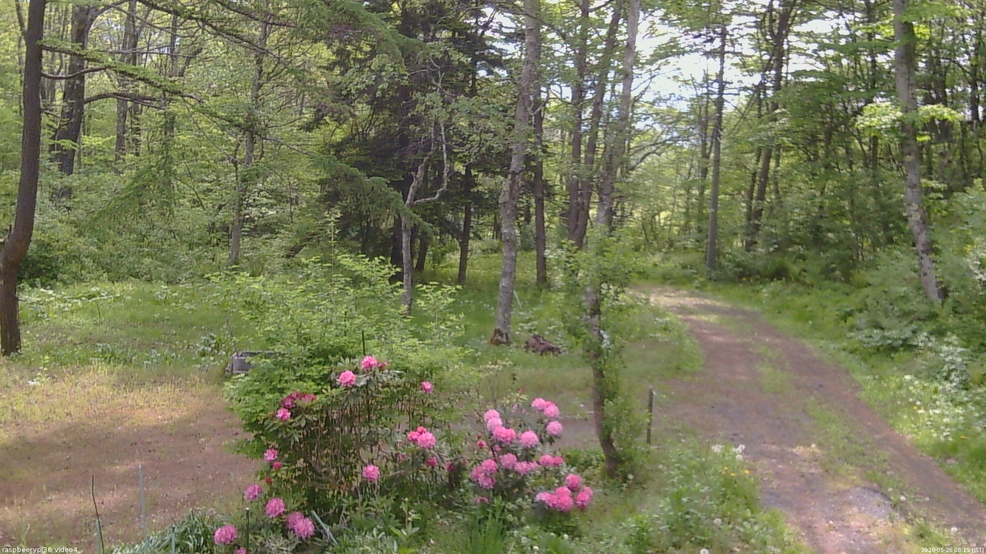 長野県菅平高原 ゆたか山荘 坂上 2026/05/26 08:15