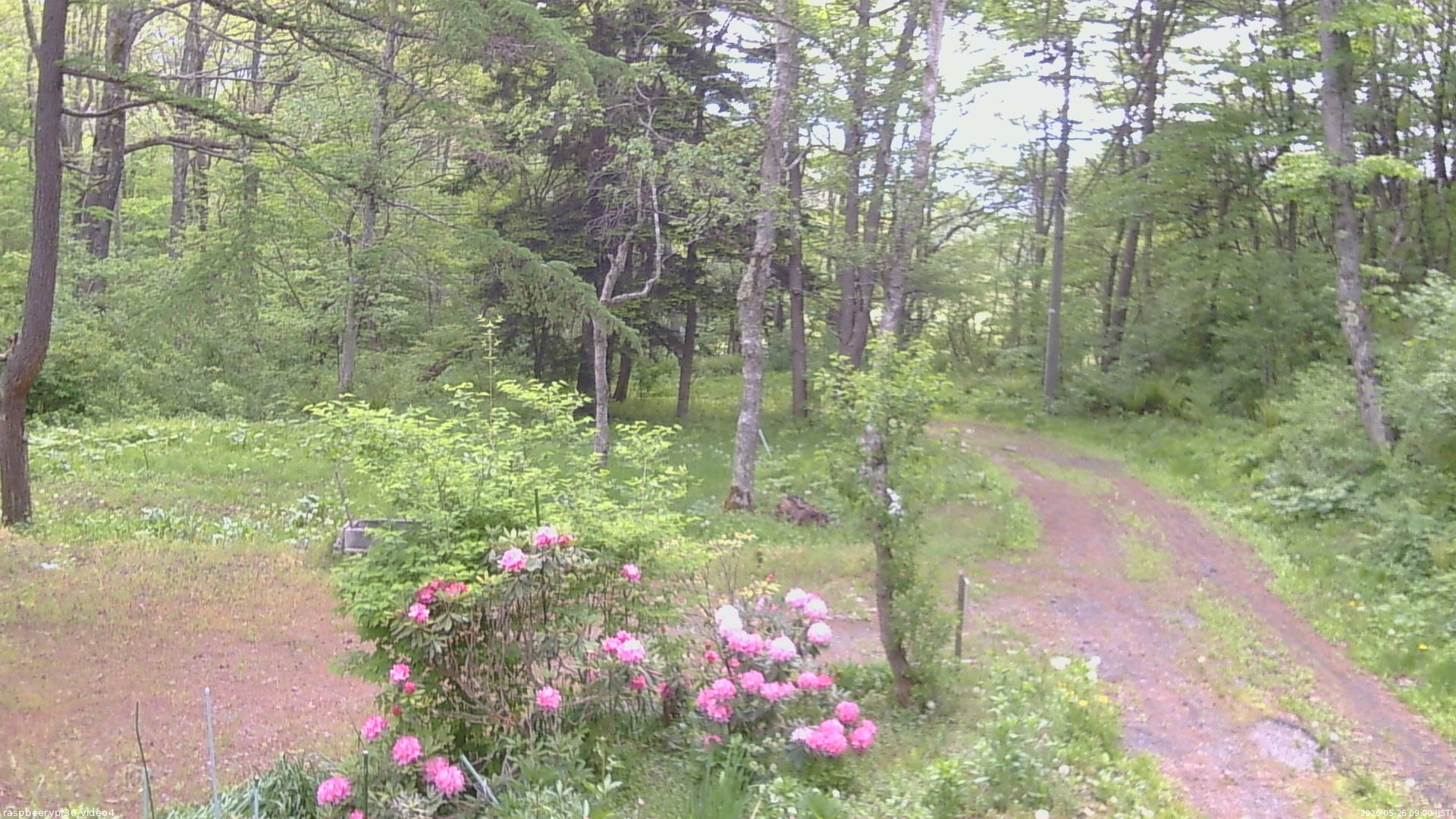 長野県菅平高原 ゆたか山荘 坂上 2026/05/26 09:00