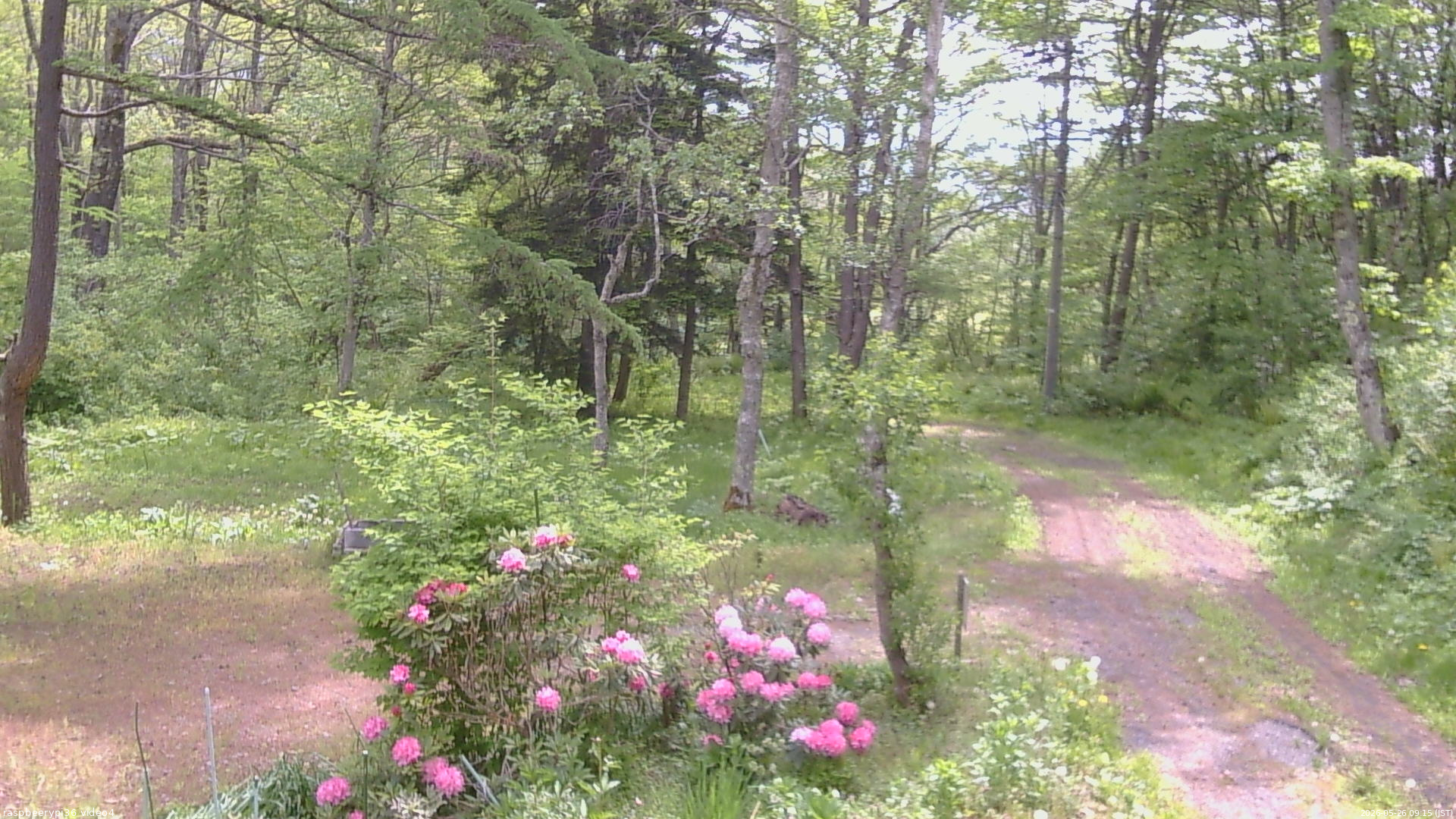 長野県菅平高原 ゆたか山荘 坂上 2026/05/26 09:15