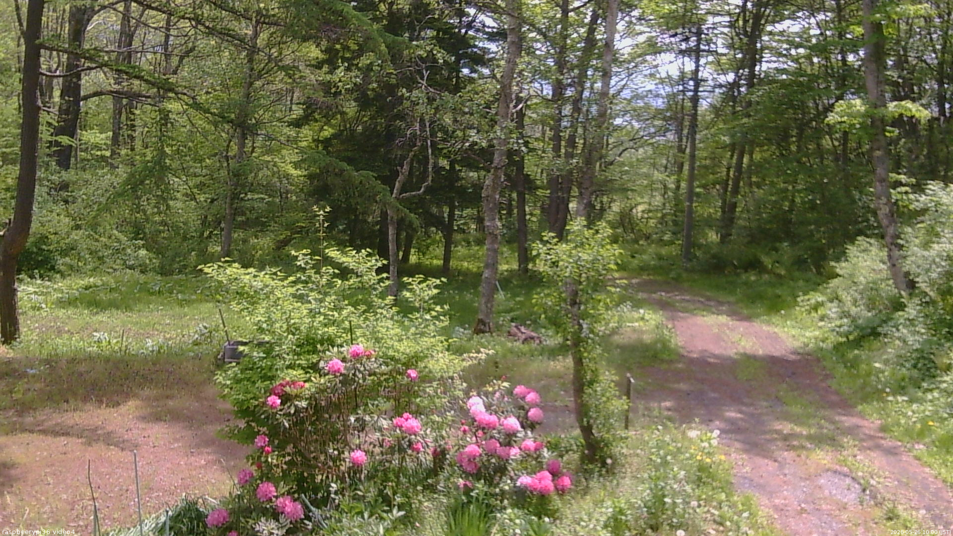長野県菅平高原 ゆたか山荘 坂上 2026/05/26 10:00