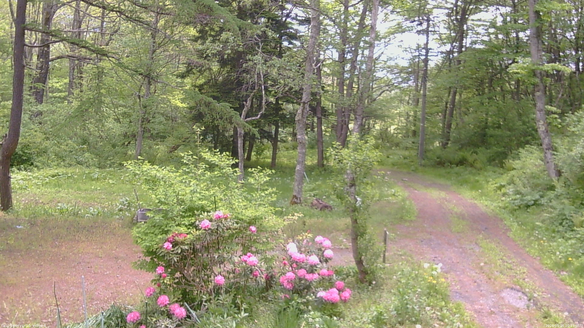 長野県菅平高原 ゆたか山荘 坂上 2026/05/26 10:15