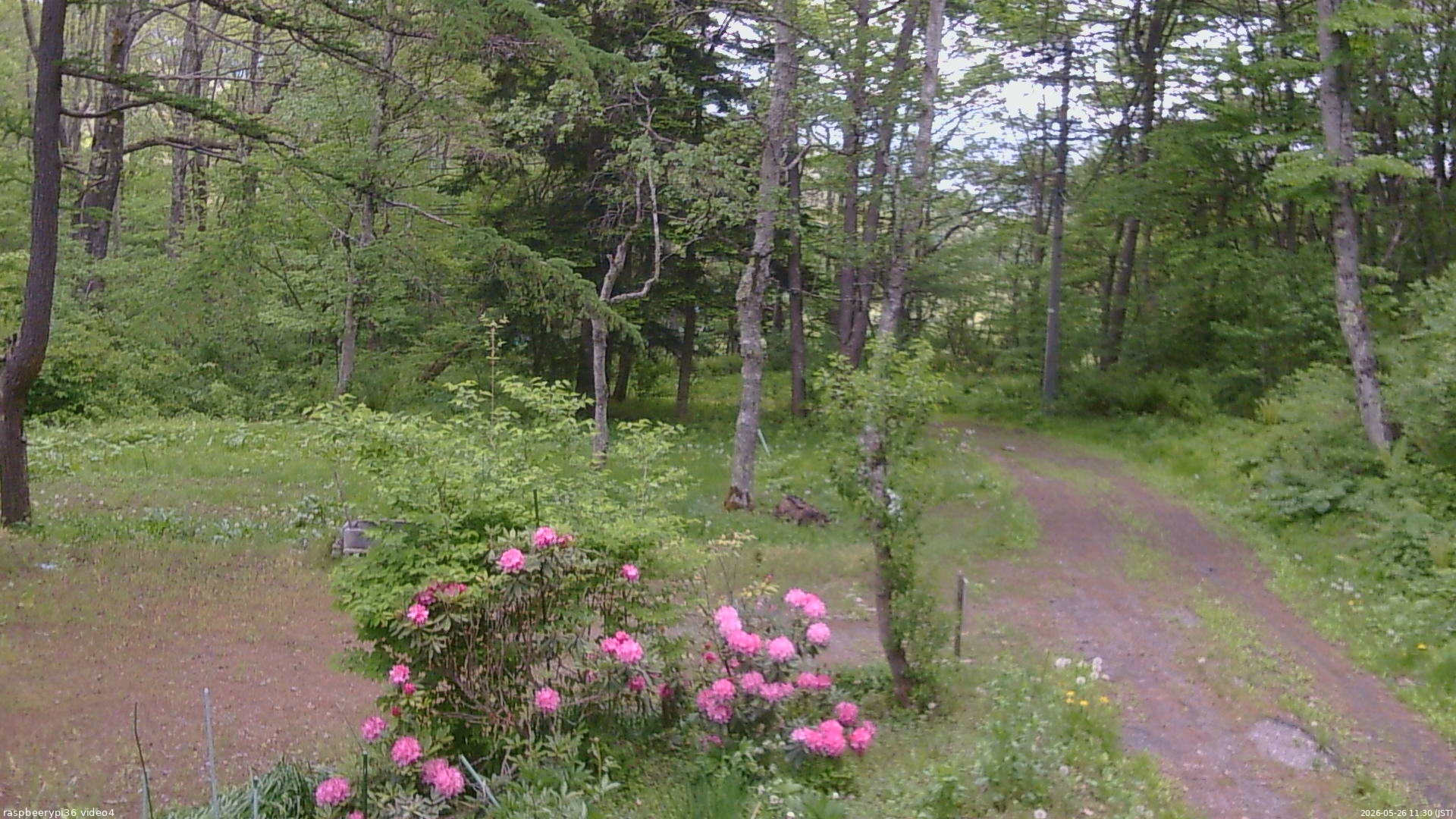 長野県菅平高原 ゆたか山荘 坂上 2026/05/26 11:30