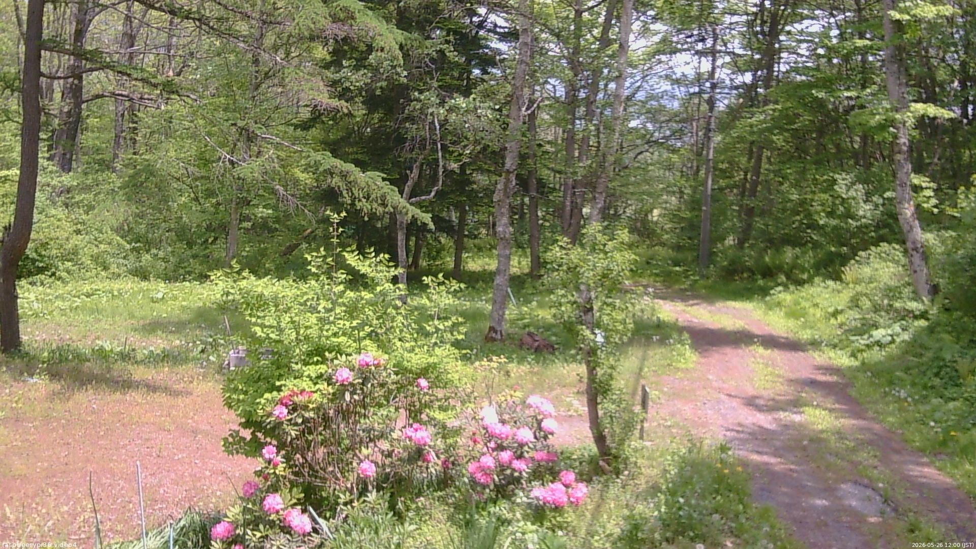 長野県菅平高原 ゆたか山荘 坂上 2026/05/26 12:00
