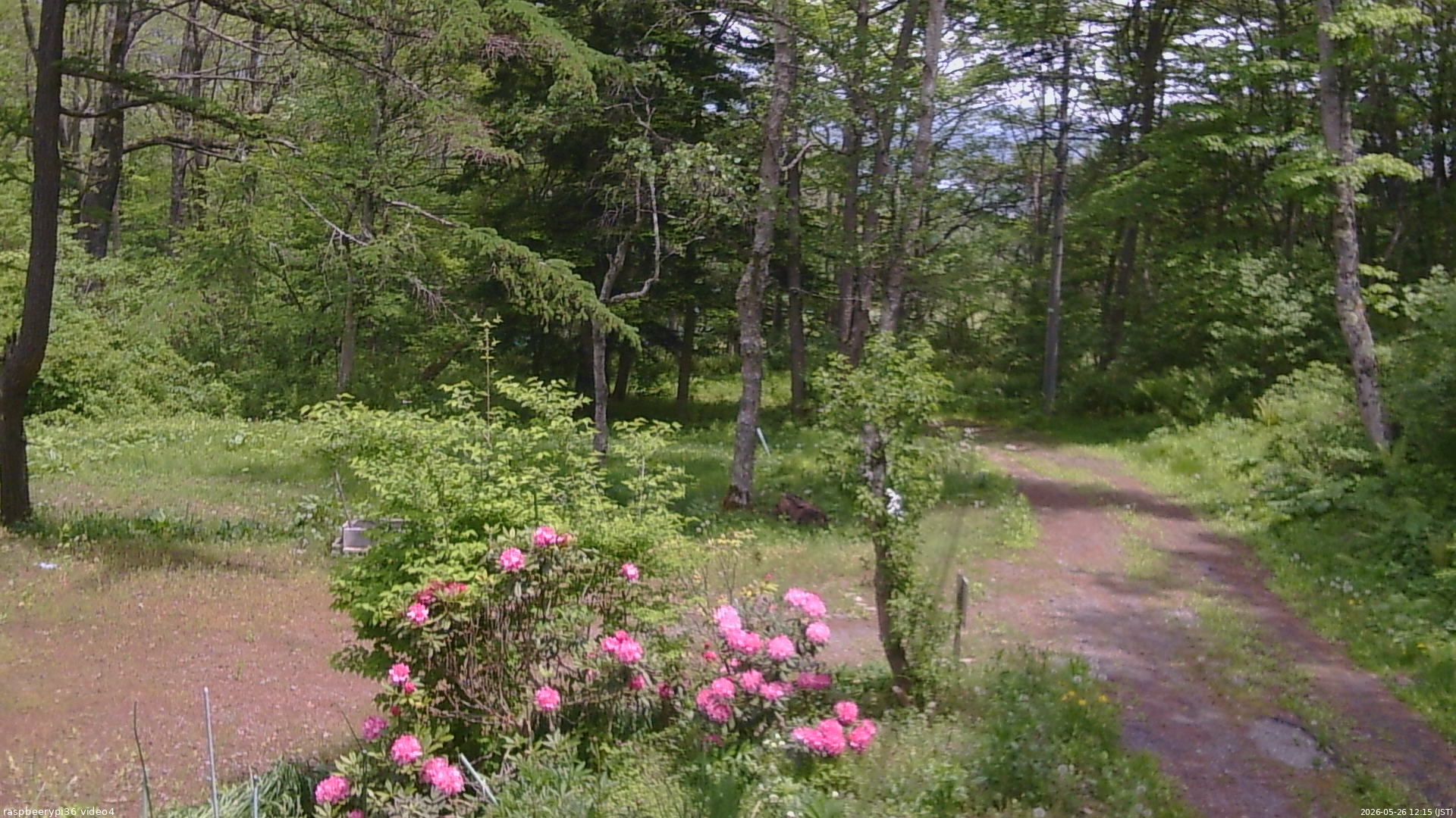 長野県菅平高原 ゆたか山荘 坂上 2026/05/26 12:15