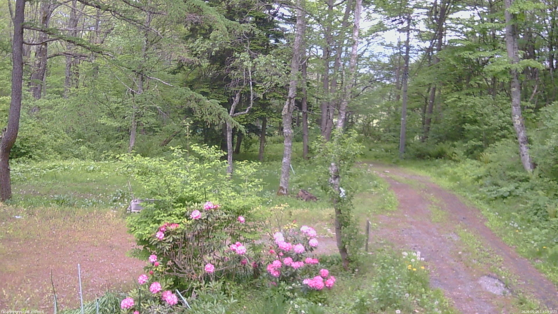 長野県菅平高原 ゆたか山荘 坂上 2026/05/26 13:15