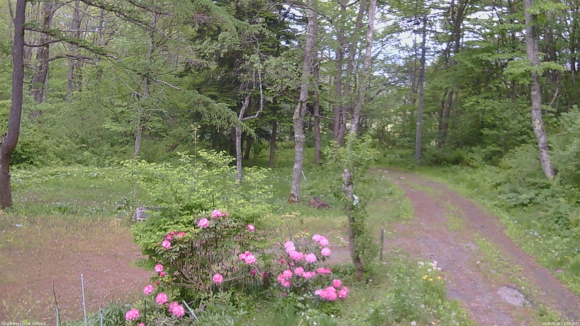長野県菅平高原 ゆたか山荘 坂上 2026/05/26 13:30