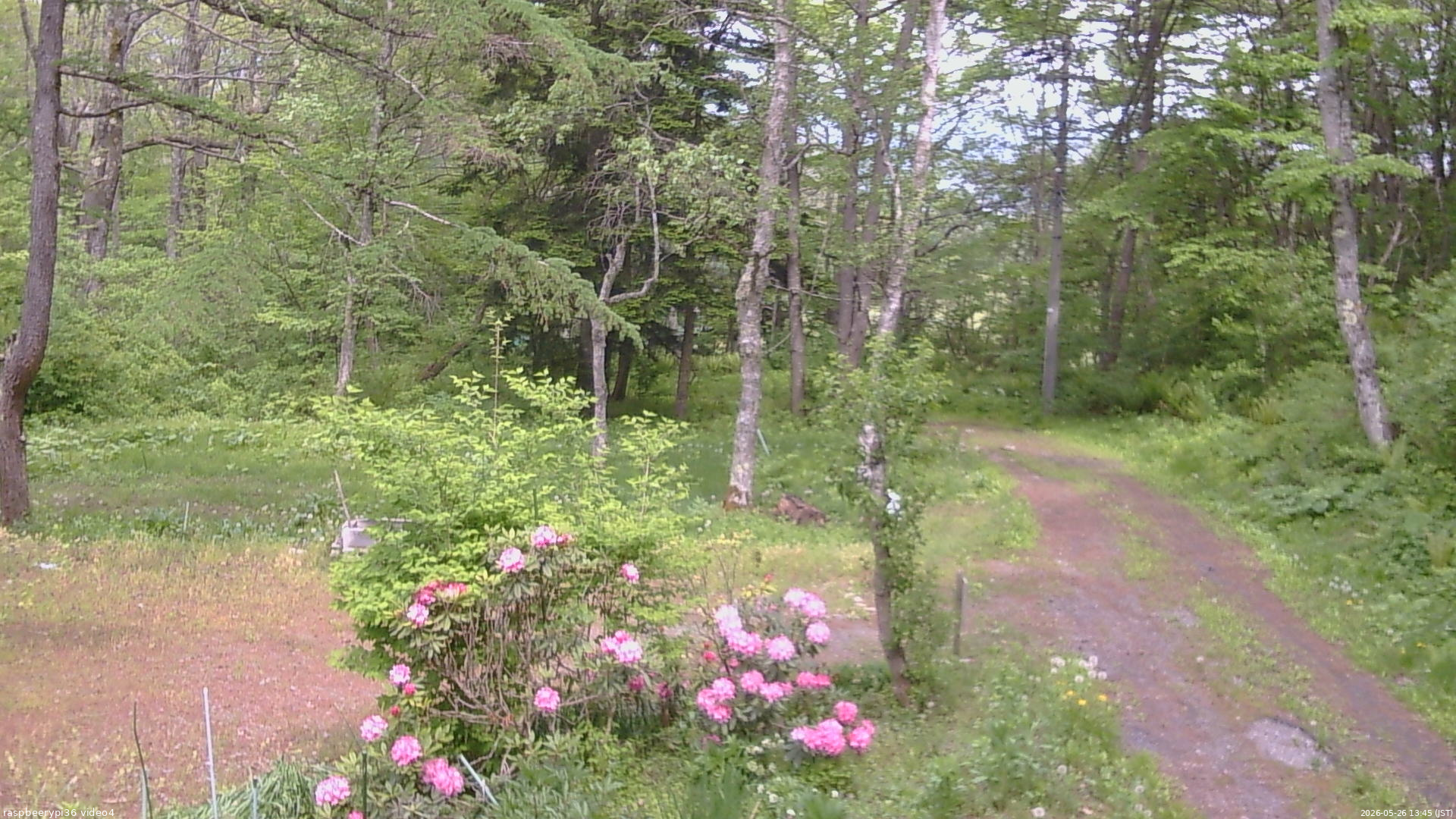 長野県菅平高原 ゆたか山荘 坂上 2026/05/26 13:45