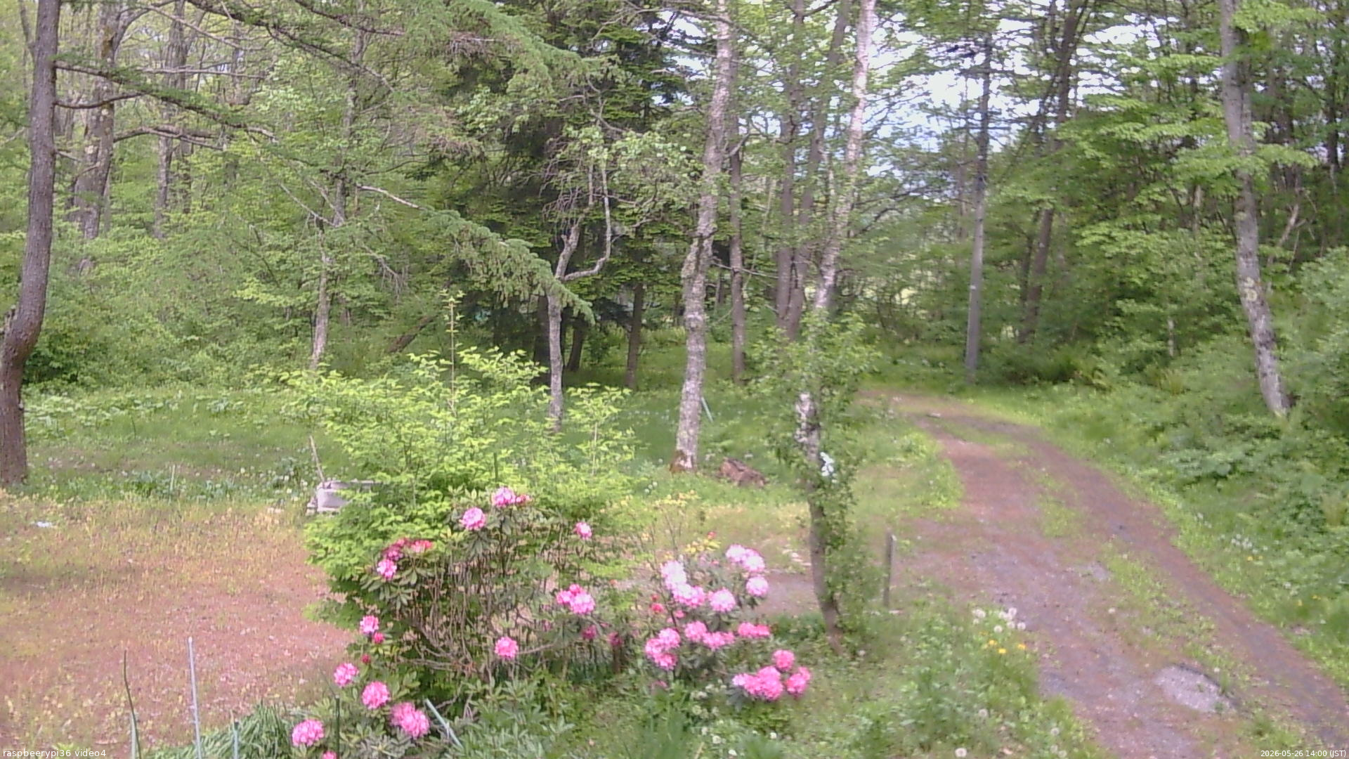 長野県菅平高原 ゆたか山荘 坂上 2026/05/26 14:00