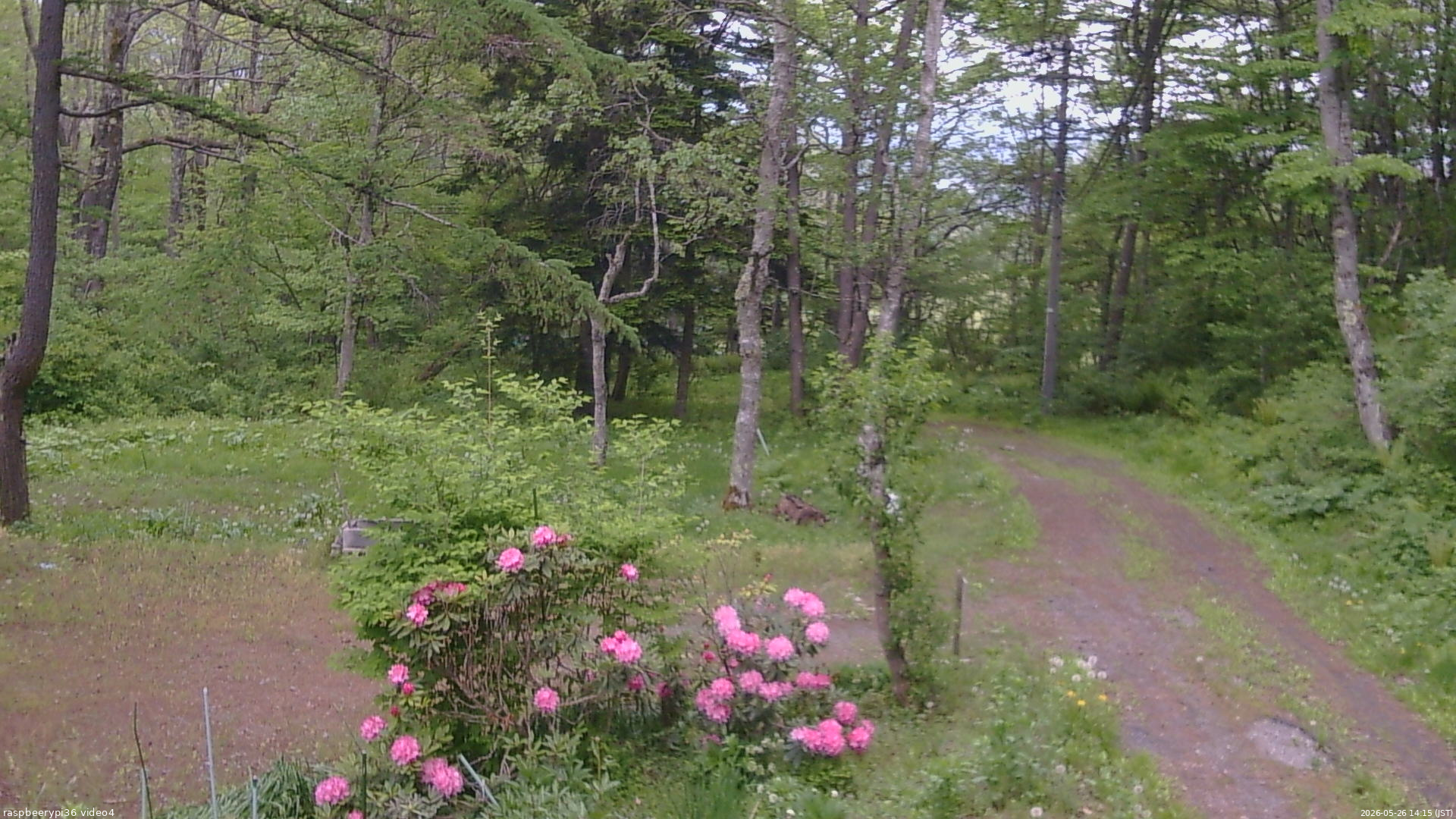 長野県菅平高原 ゆたか山荘 坂上 2026/05/26 14:15