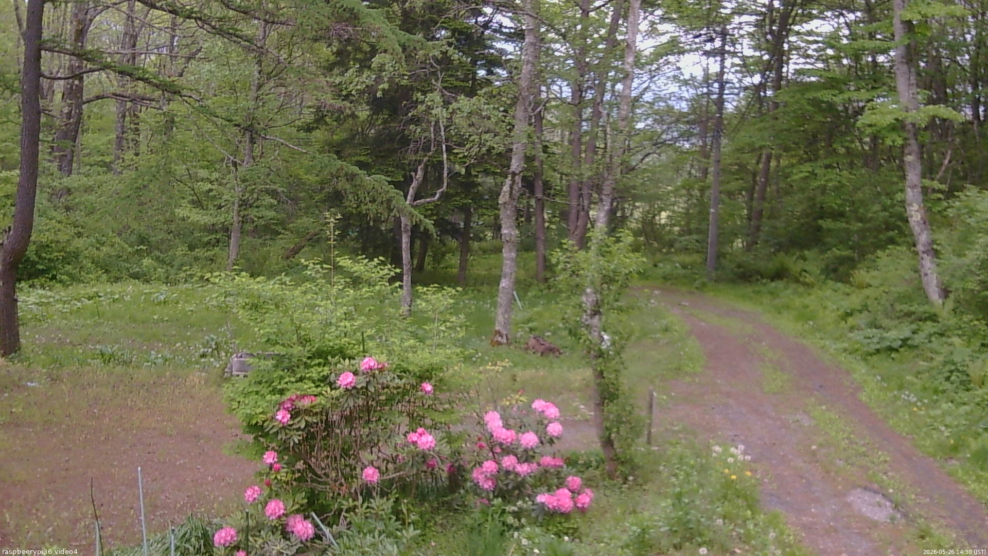 長野県菅平高原 ゆたか山荘 坂上 2026/05/26 14:30