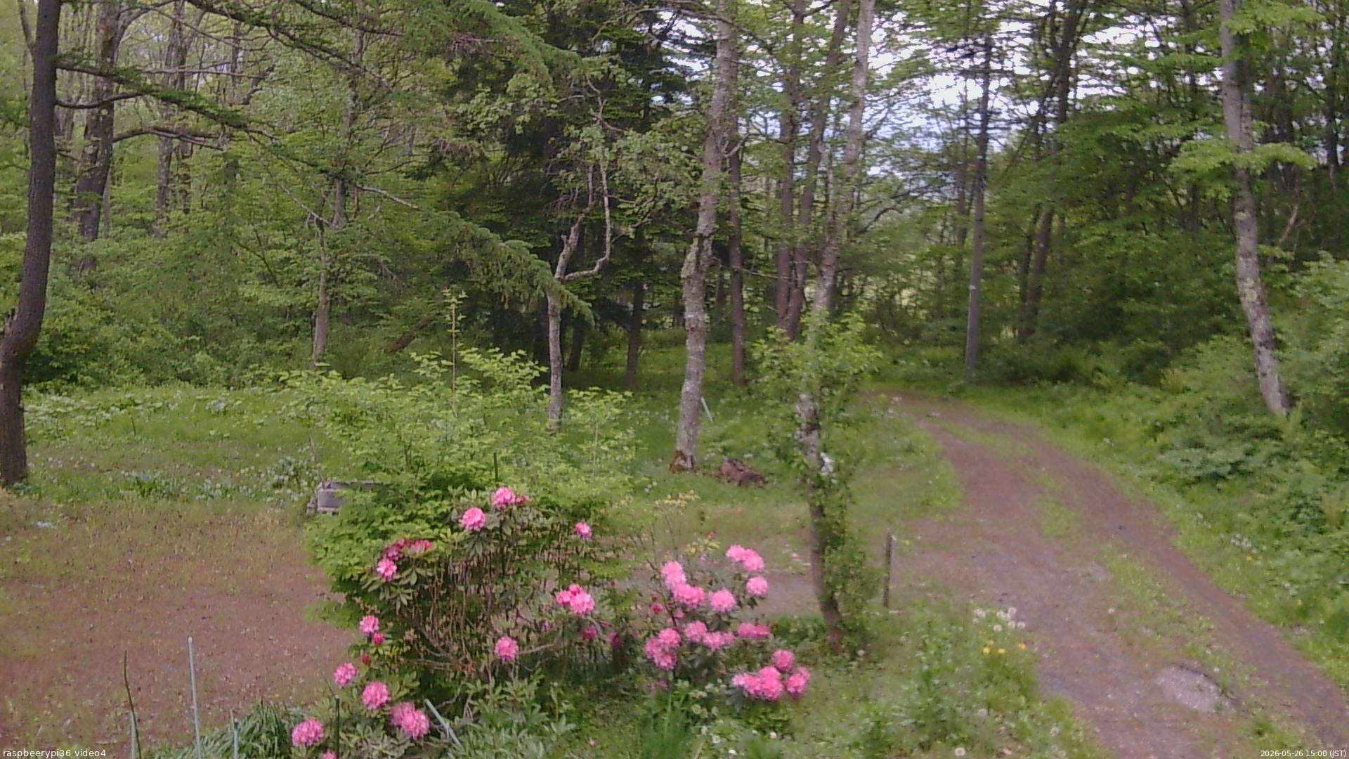 長野県菅平高原 ゆたか山荘 坂上 2026/05/26 15:00