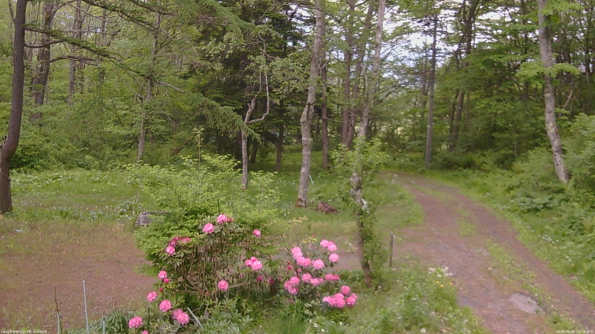 長野県菅平高原 ゆたか山荘 坂上 2026/05/26 16:15