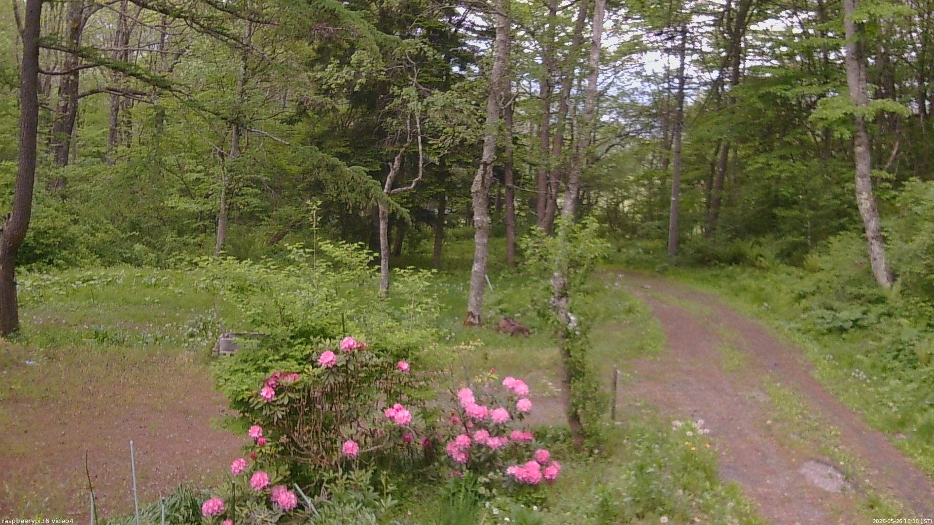 長野県菅平高原 ゆたか山荘 坂上 2026/05/26 16:30