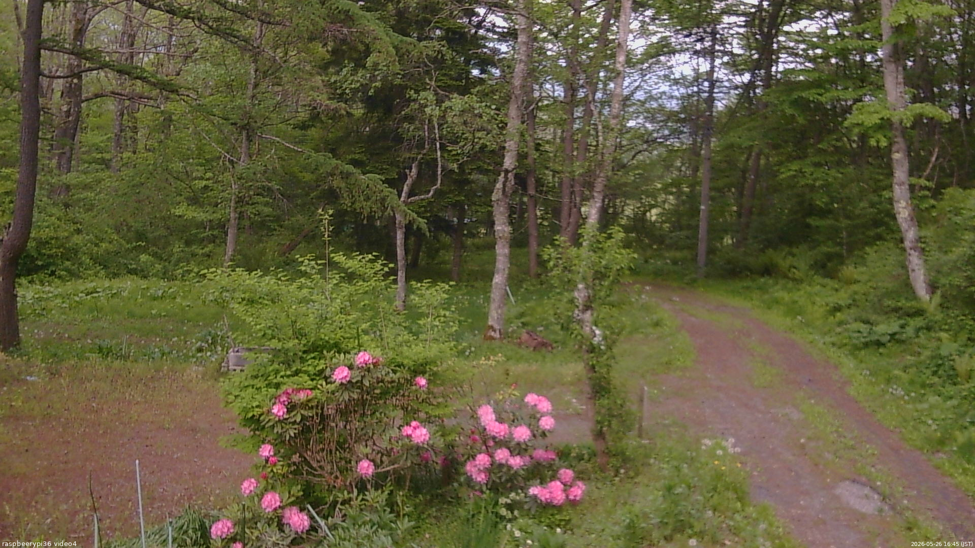 長野県菅平高原 ゆたか山荘 坂上 2026/05/26 16:45