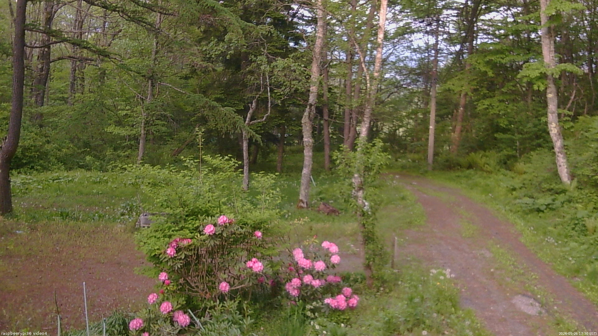 長野県菅平高原 ゆたか山荘 坂上 2026/05/26 17:30