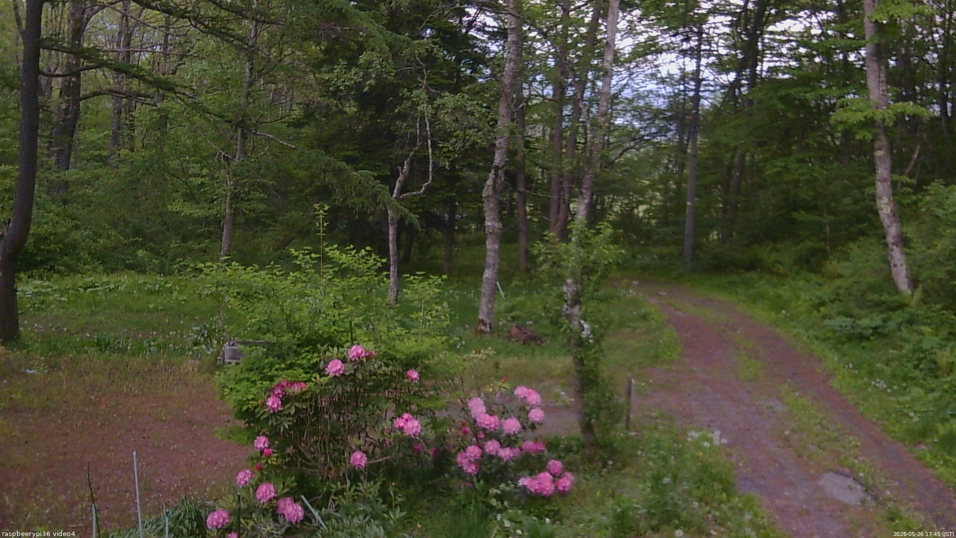 長野県菅平高原 ゆたか山荘 坂上 2026/05/26 17:45