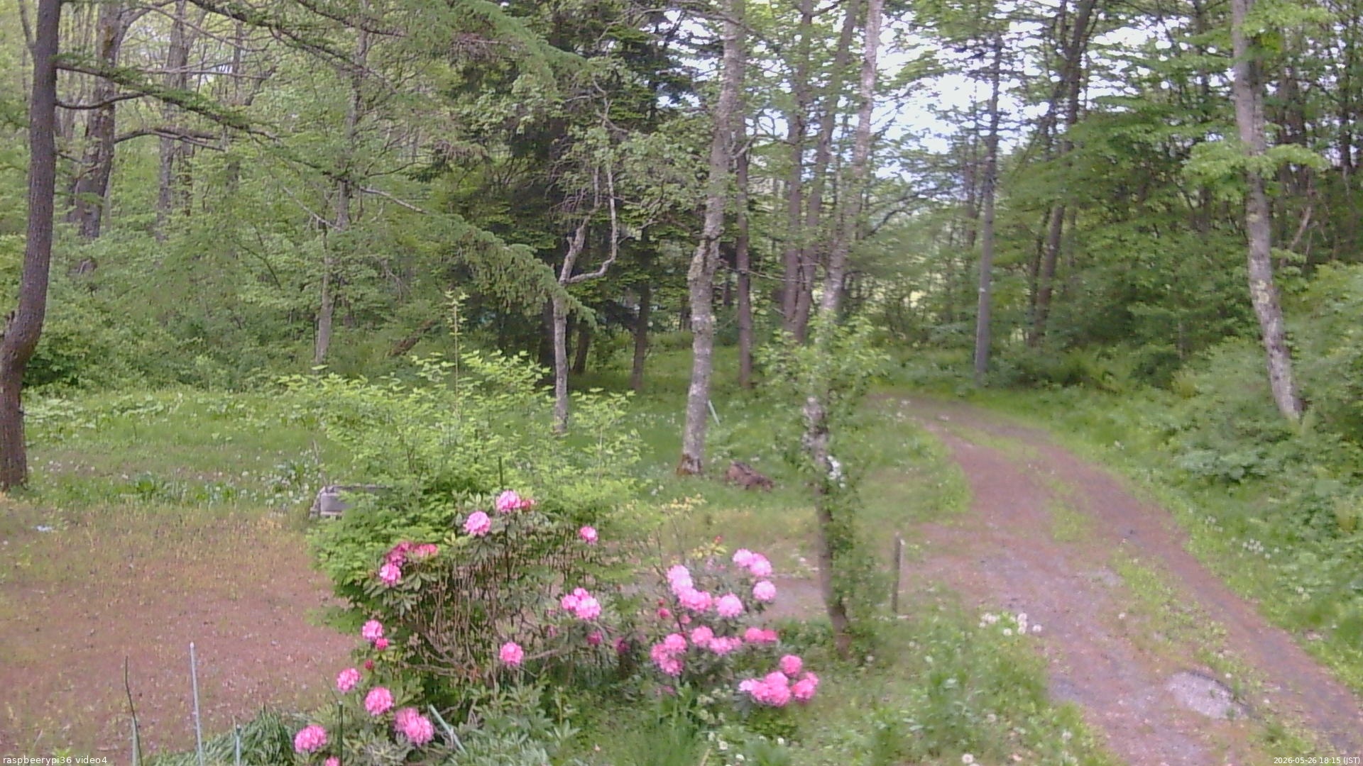 長野県菅平高原 ゆたか山荘 坂上 2026/05/26 18:15