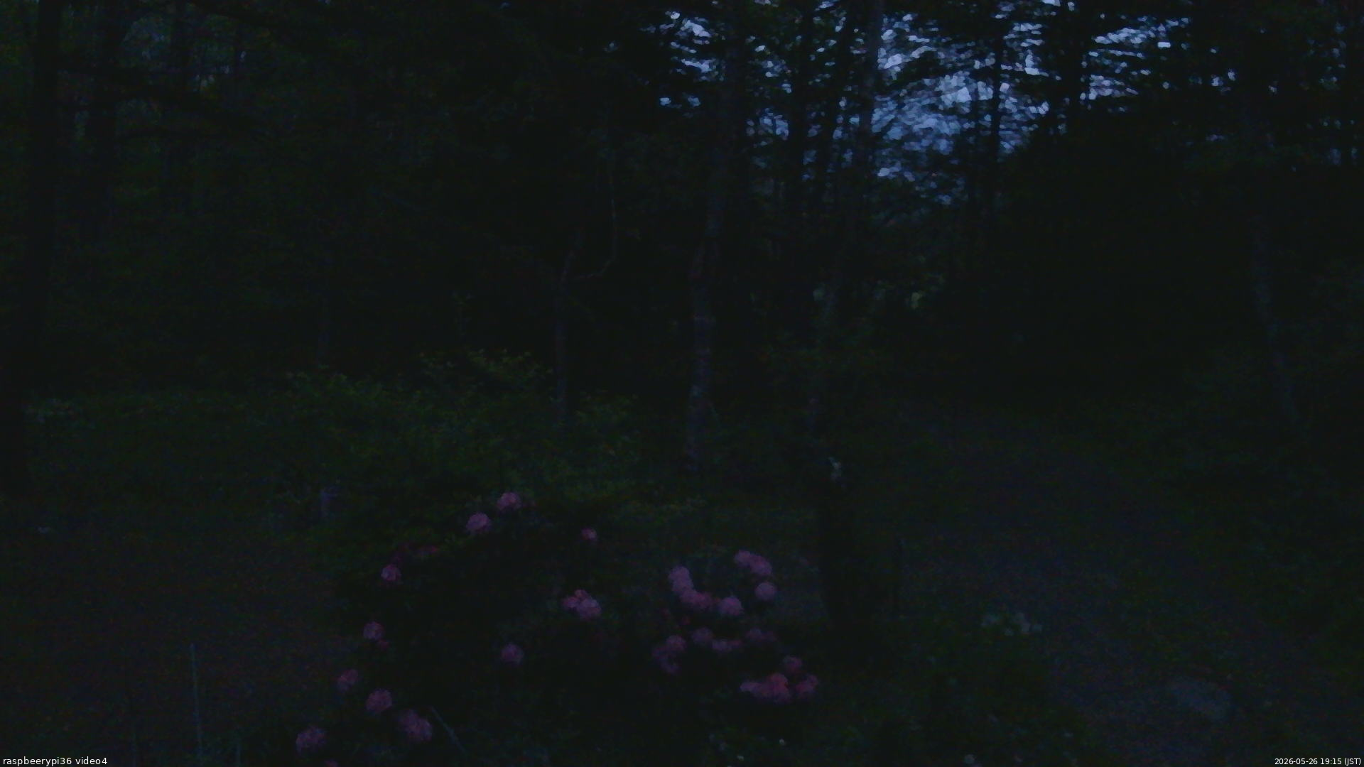 長野県菅平高原 ゆたか山荘 坂上 2026/05/26 19:15