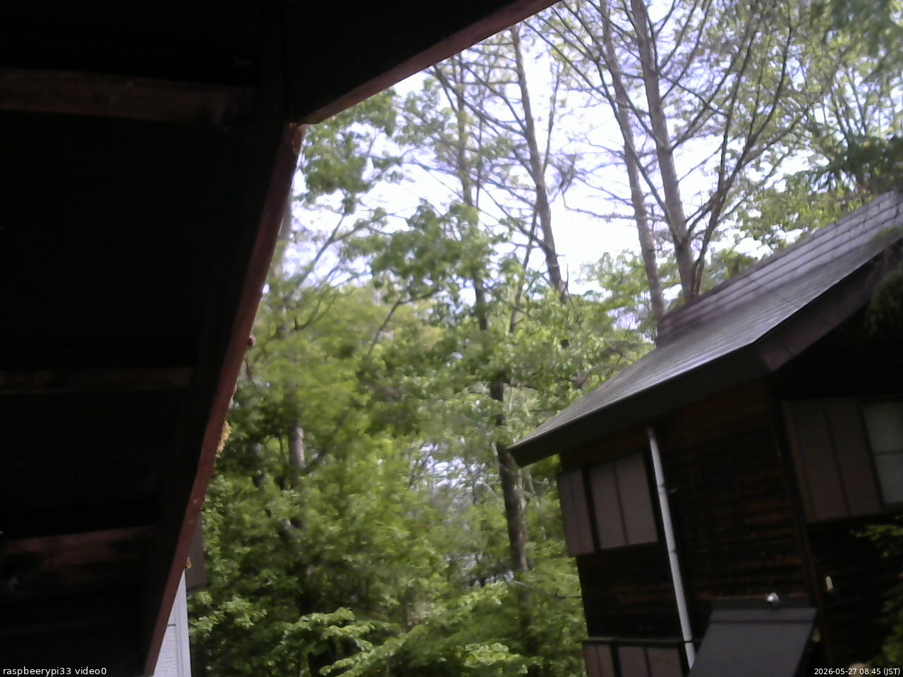 長野県菅平高原 ゆたか山荘 北側 2026/05/27 08:45