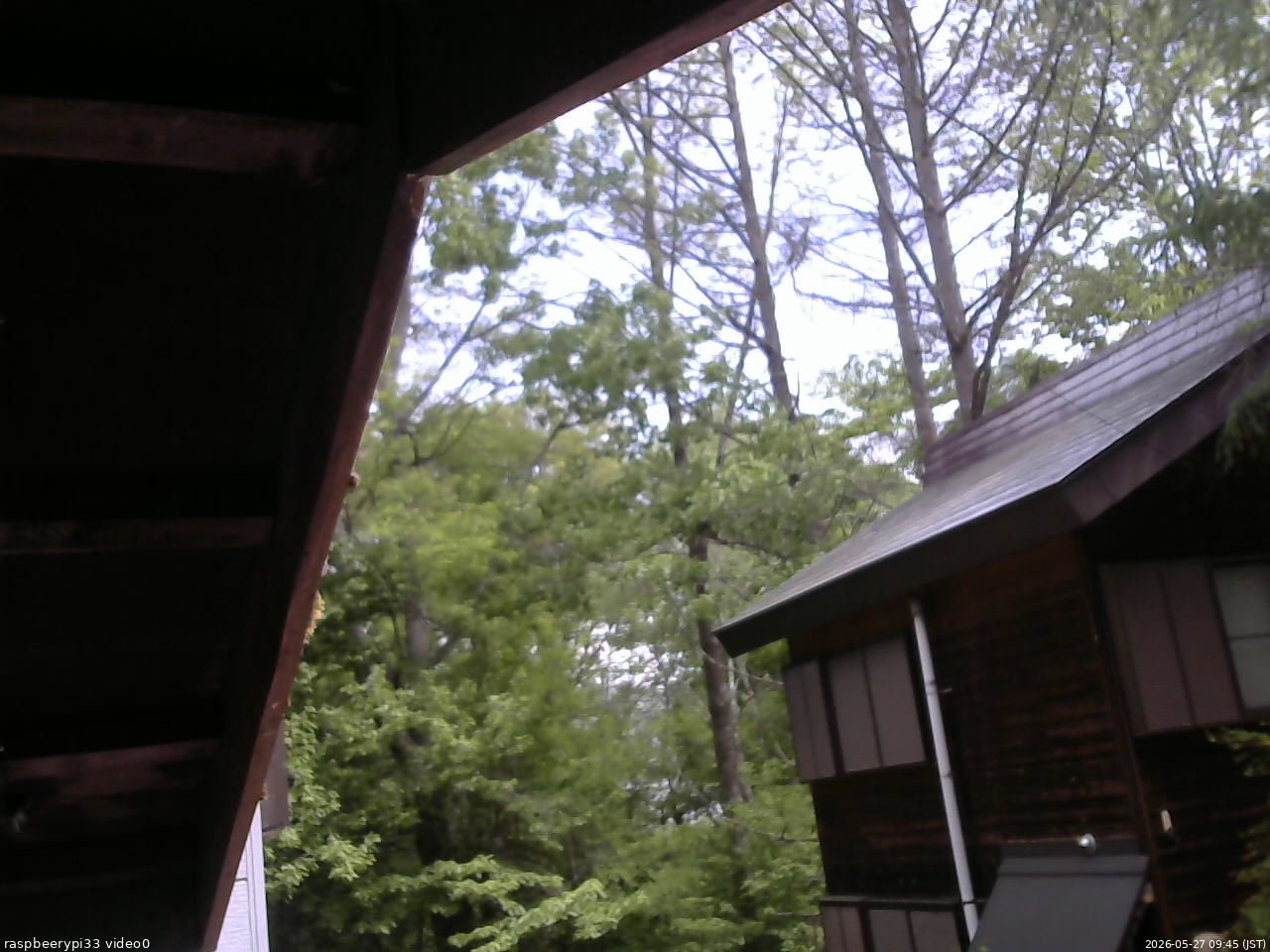 長野県菅平高原 ゆたか山荘 北側 2026/05/27 09:45