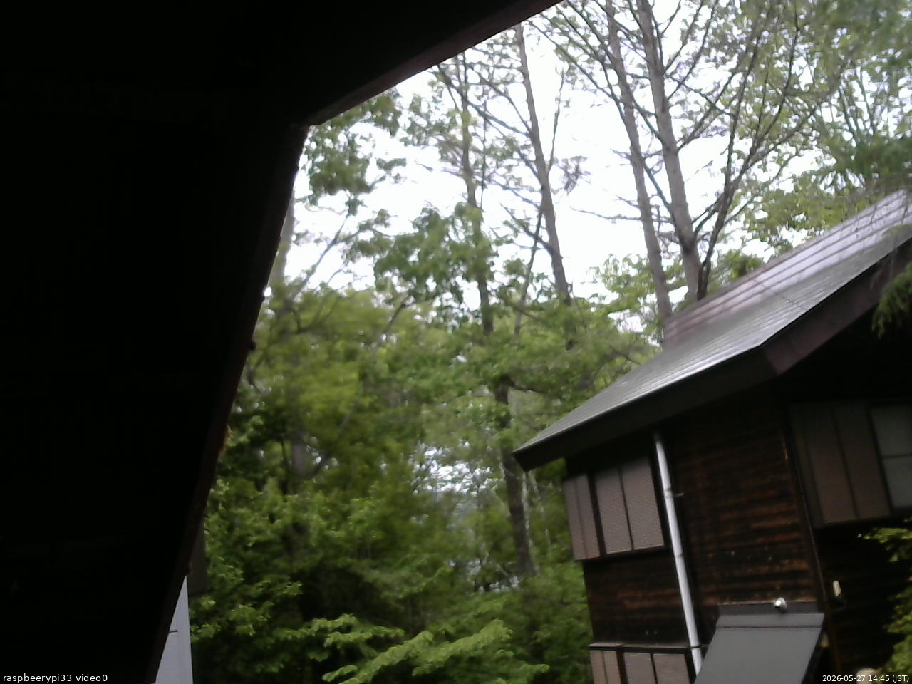 長野県菅平高原 ゆたか山荘 北側 2026/05/27 14:45