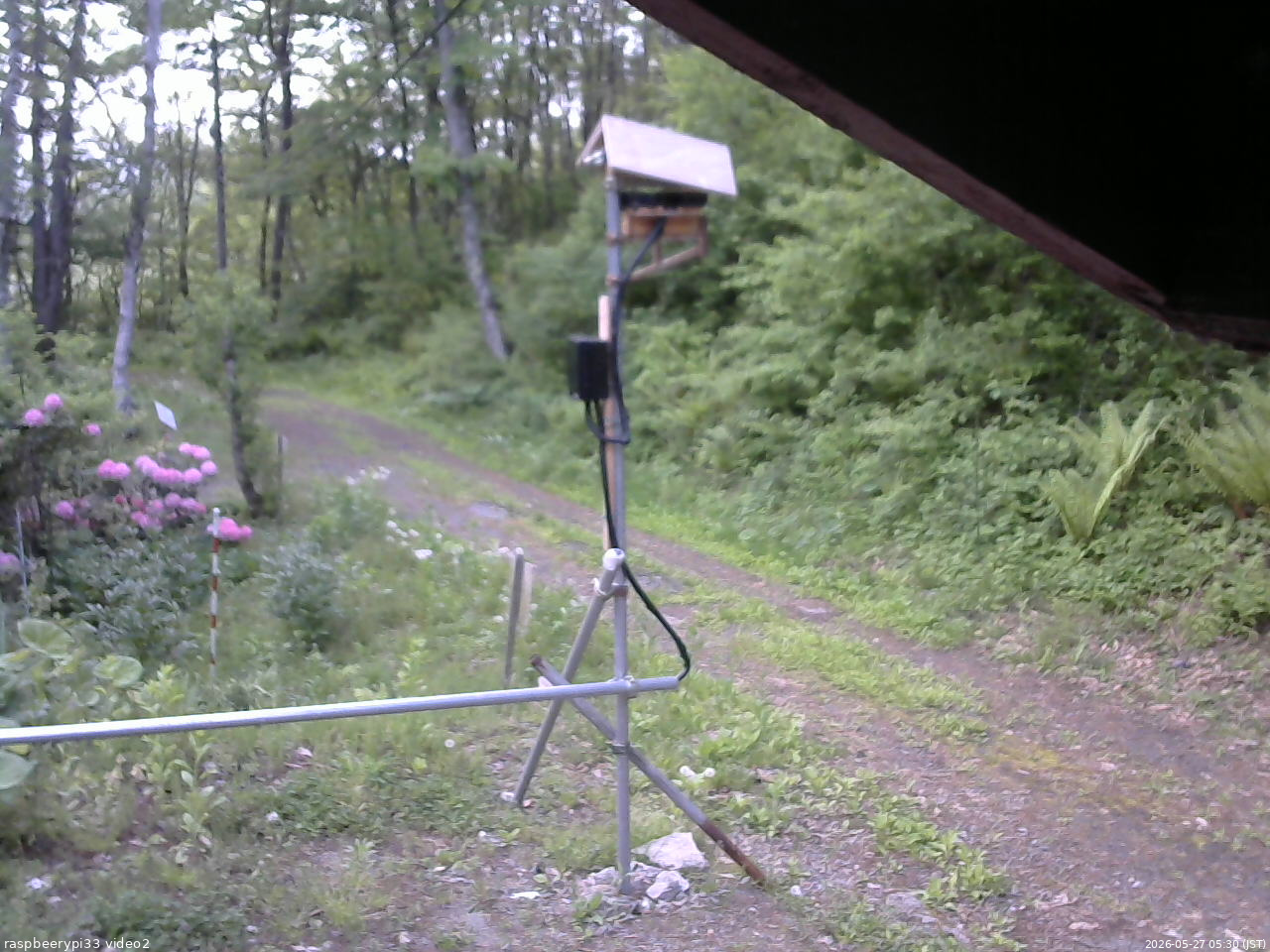 長野県菅平高原 ゆたか山荘 南側 2026/05/27 05:30