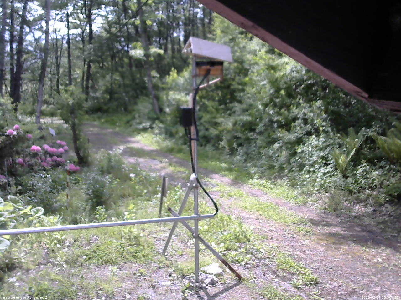 長野県菅平高原 ゆたか山荘 南側 2026/05/27 08:30