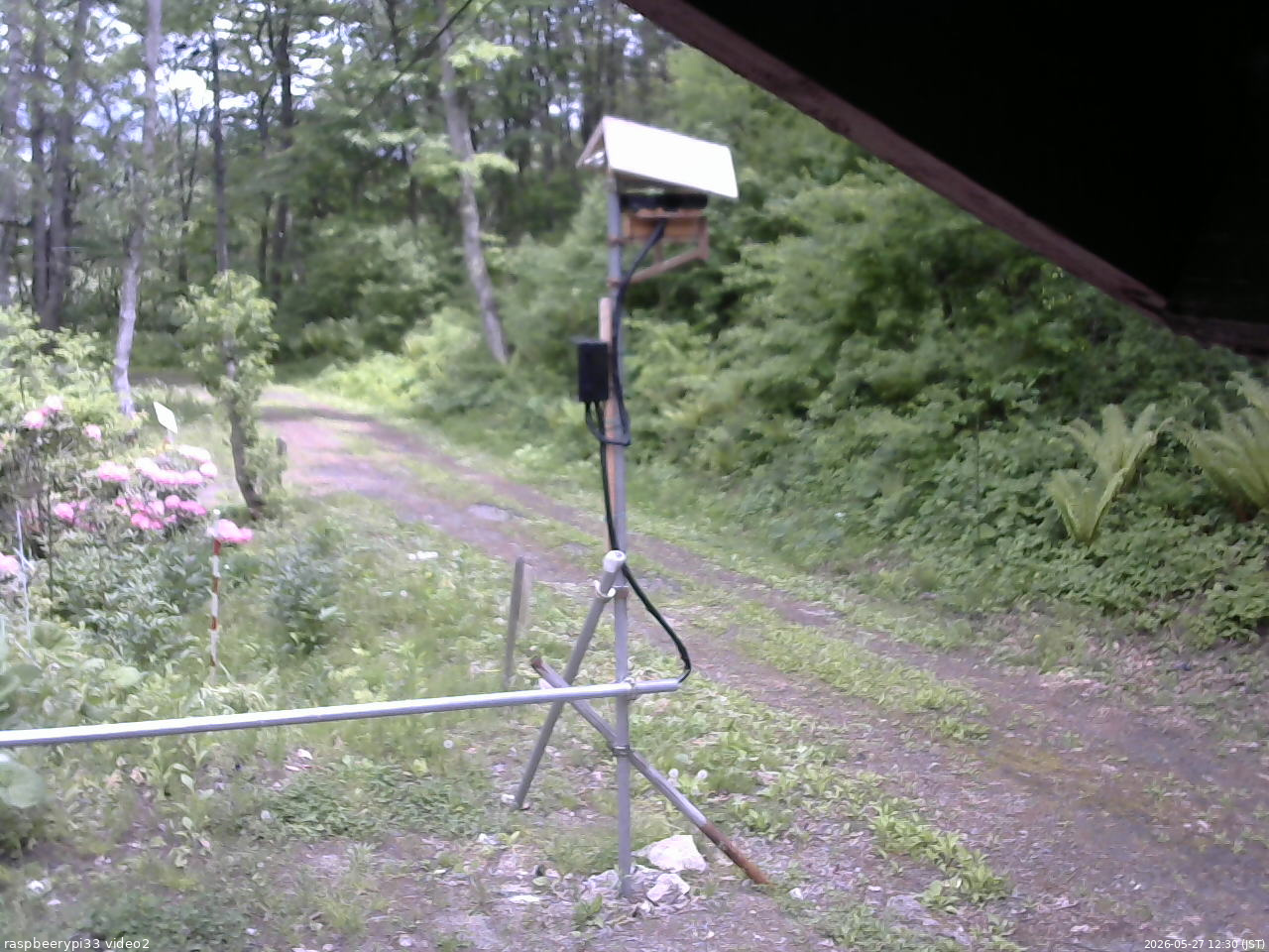 長野県菅平高原 ゆたか山荘 南側 2026/05/27 12:30