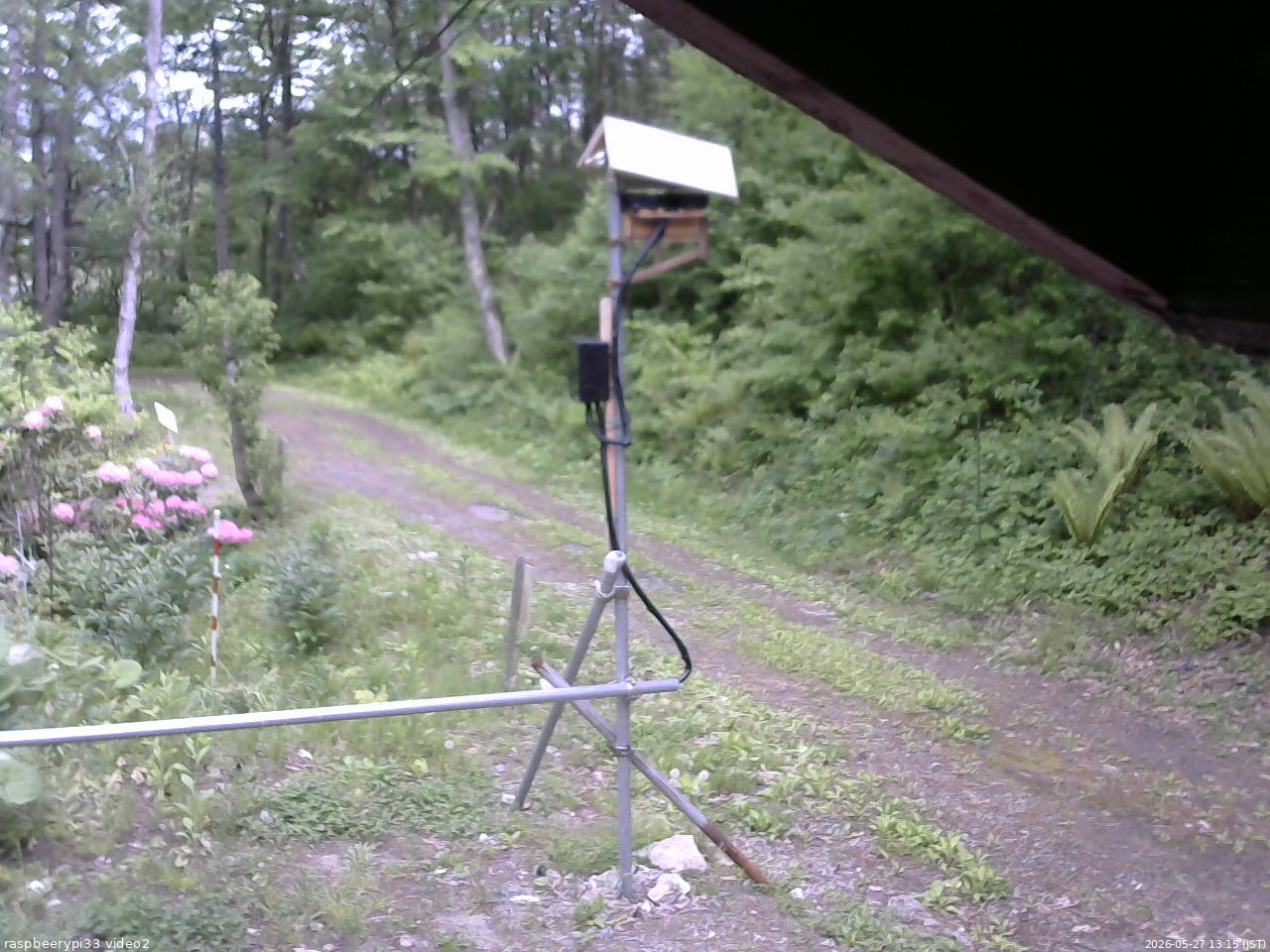 長野県菅平高原 ゆたか山荘 南側 2026/05/27 13:15