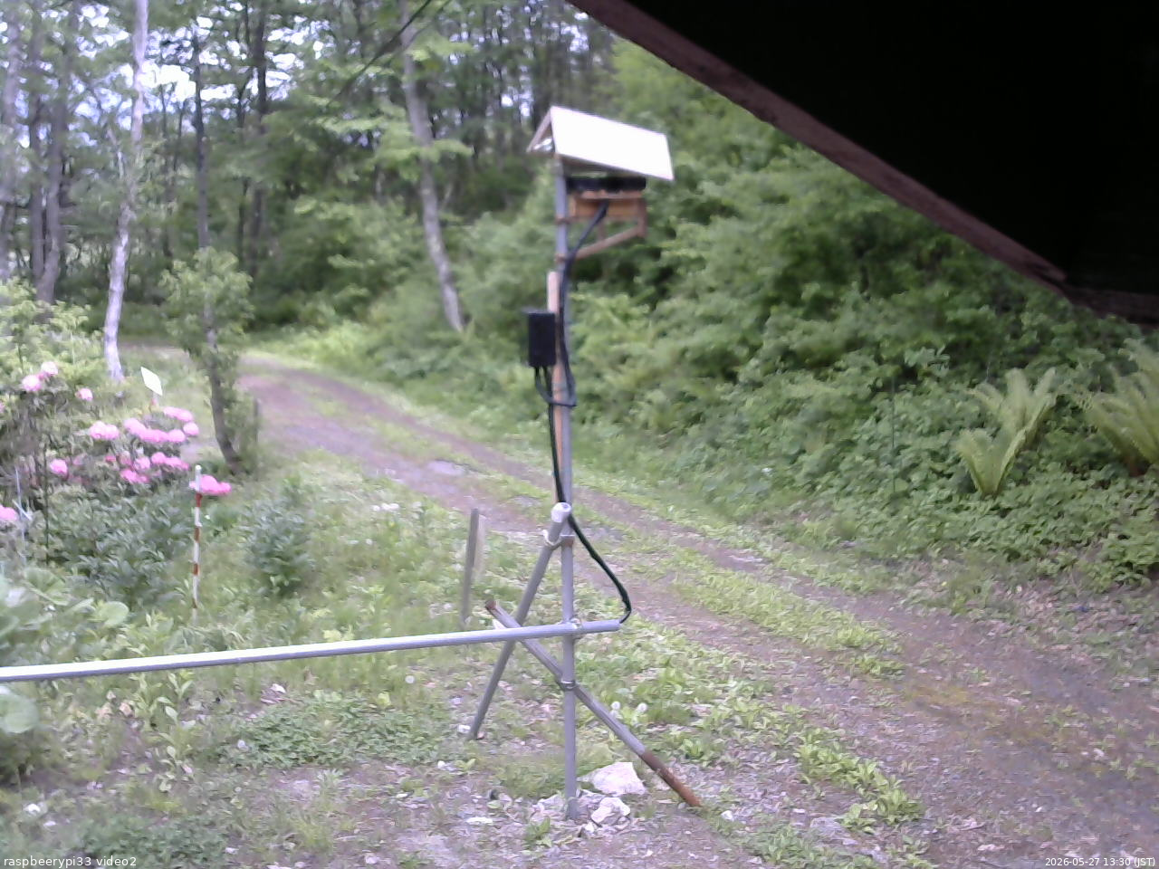 長野県菅平高原 ゆたか山荘 南側 2026/05/27 13:30