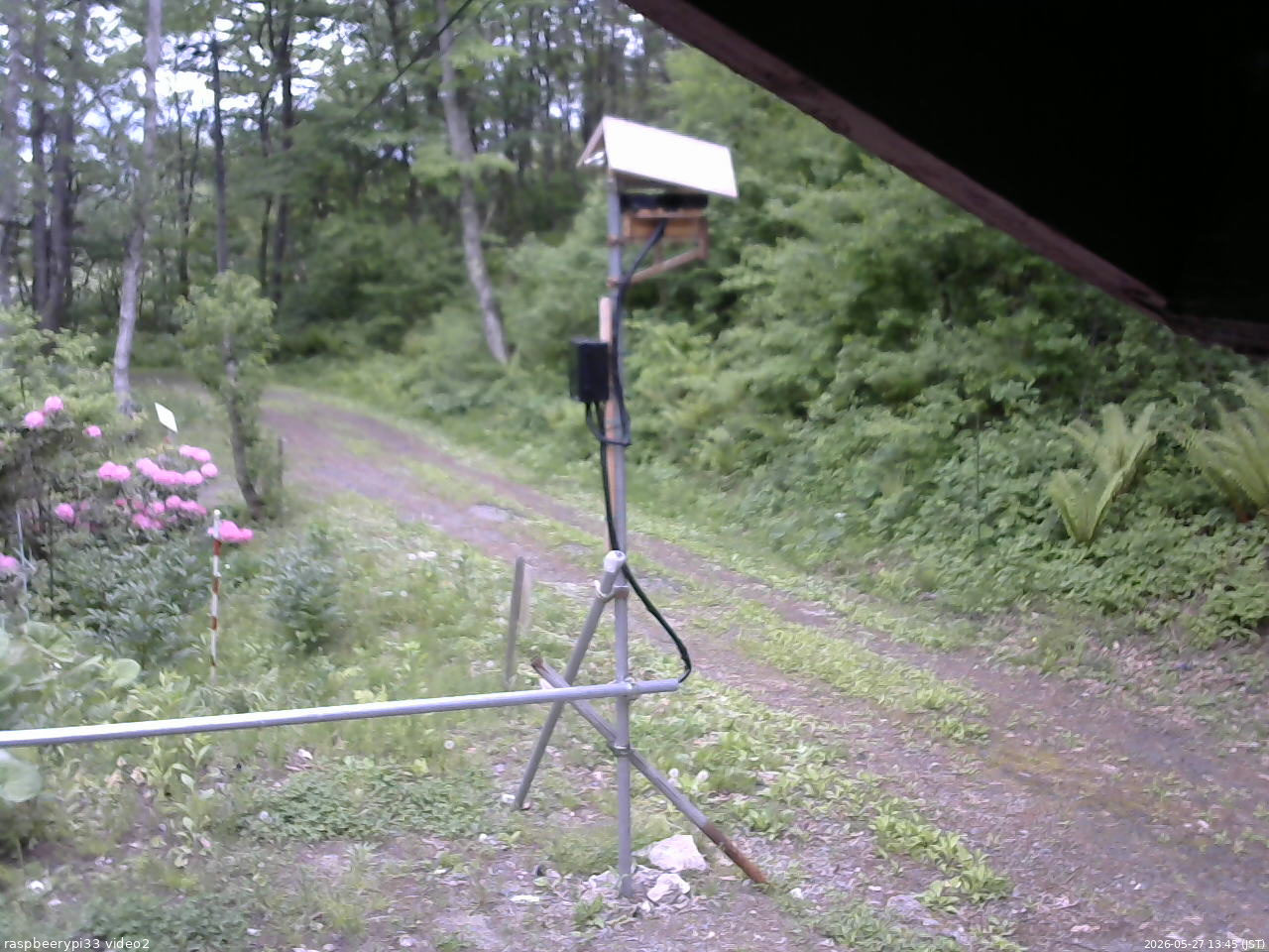 長野県菅平高原 ゆたか山荘 南側 2026/05/27 13:45