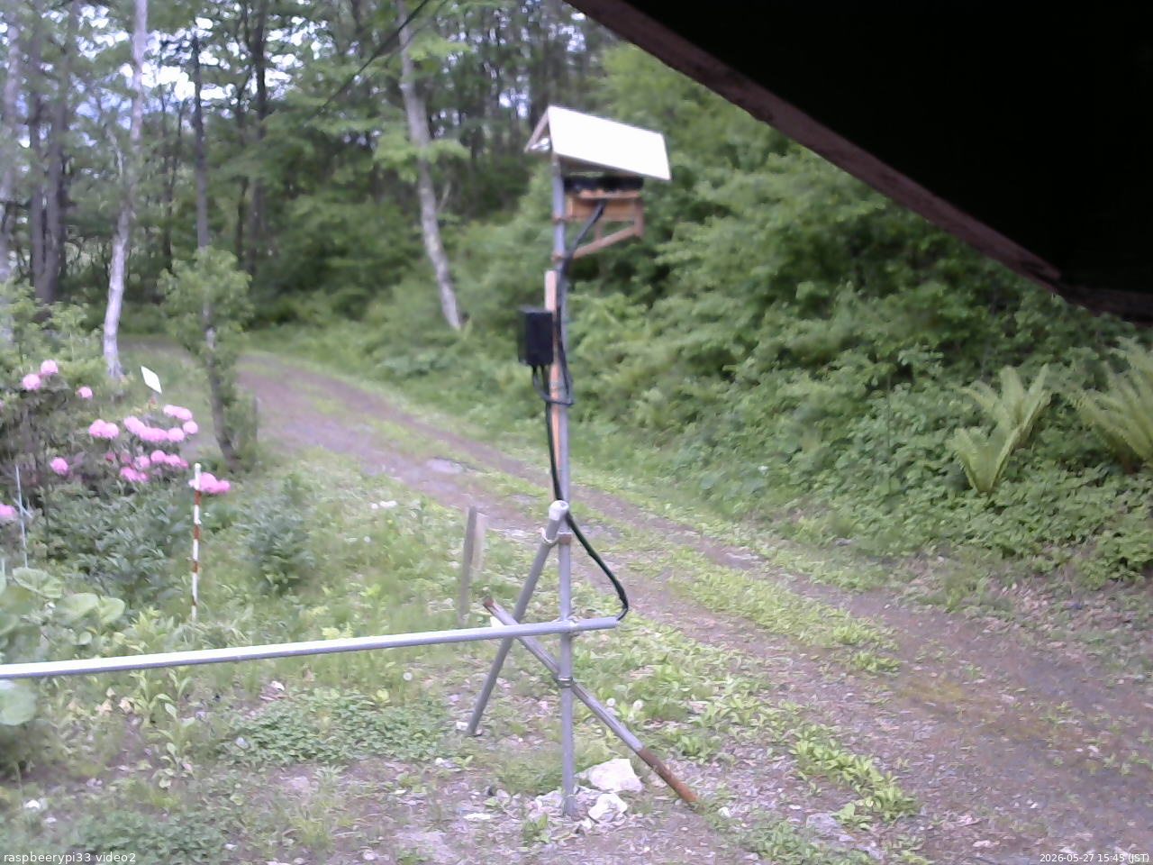 長野県菅平高原 ゆたか山荘 南側 2026/05/27 15:45