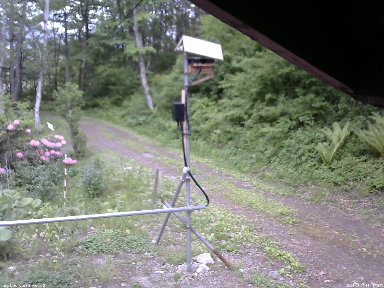長野県菅平高原 ゆたか山荘 南側 2026/05/27 16:45