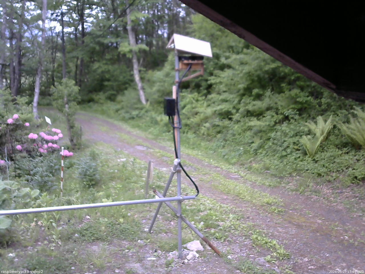 長野県菅平高原 ゆたか山荘 南側 2026/05/27 17:45