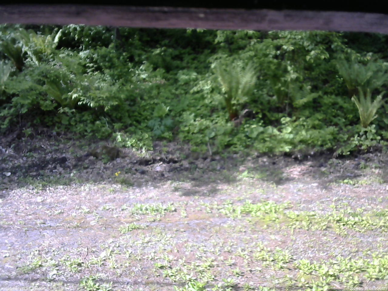 長野県菅平高原 ゆたか山荘 東側(坂下) 2026/05/27 08:00