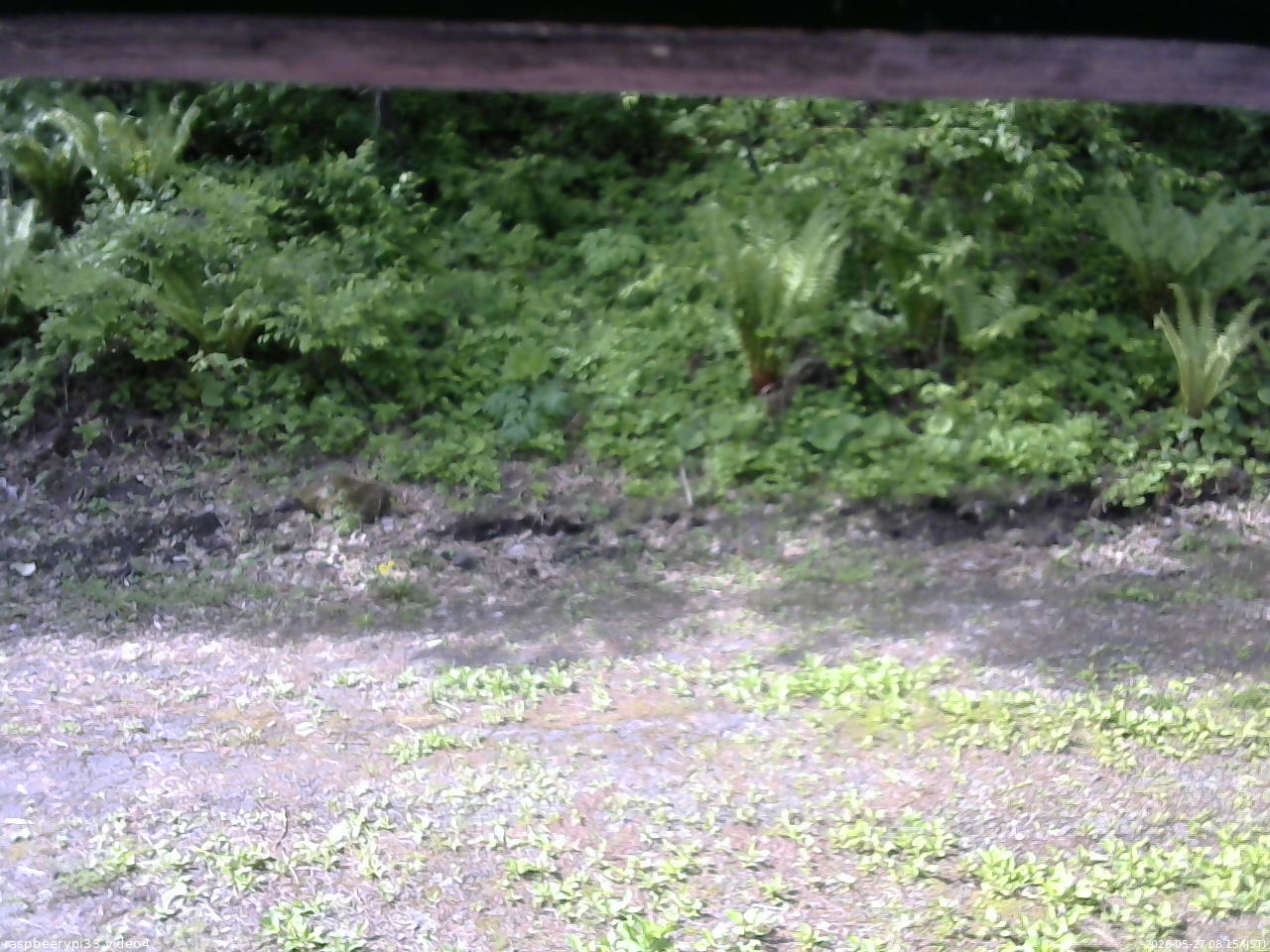 長野県菅平高原 ゆたか山荘 東側(坂下) 2026/05/27 08:15
