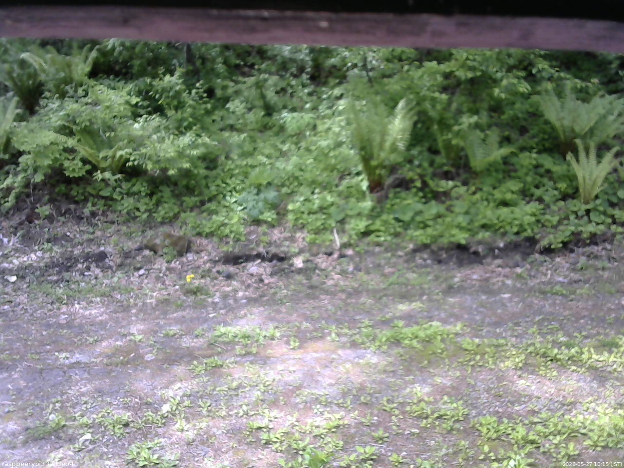 長野県菅平高原 ゆたか山荘 東側(坂下) 2026/05/27 10:15