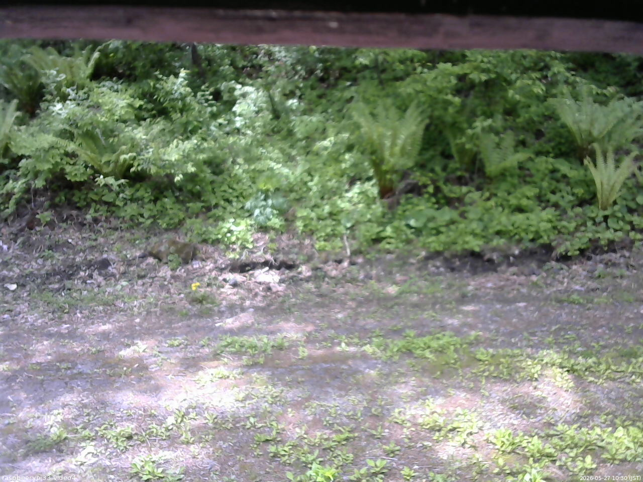 長野県菅平高原 ゆたか山荘 東側(坂下) 2026/05/27 10:30