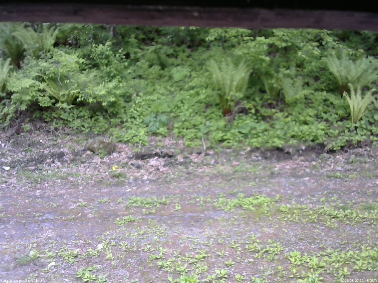 長野県菅平高原 ゆたか山荘 東側(坂下) 2026/05/27 11:45